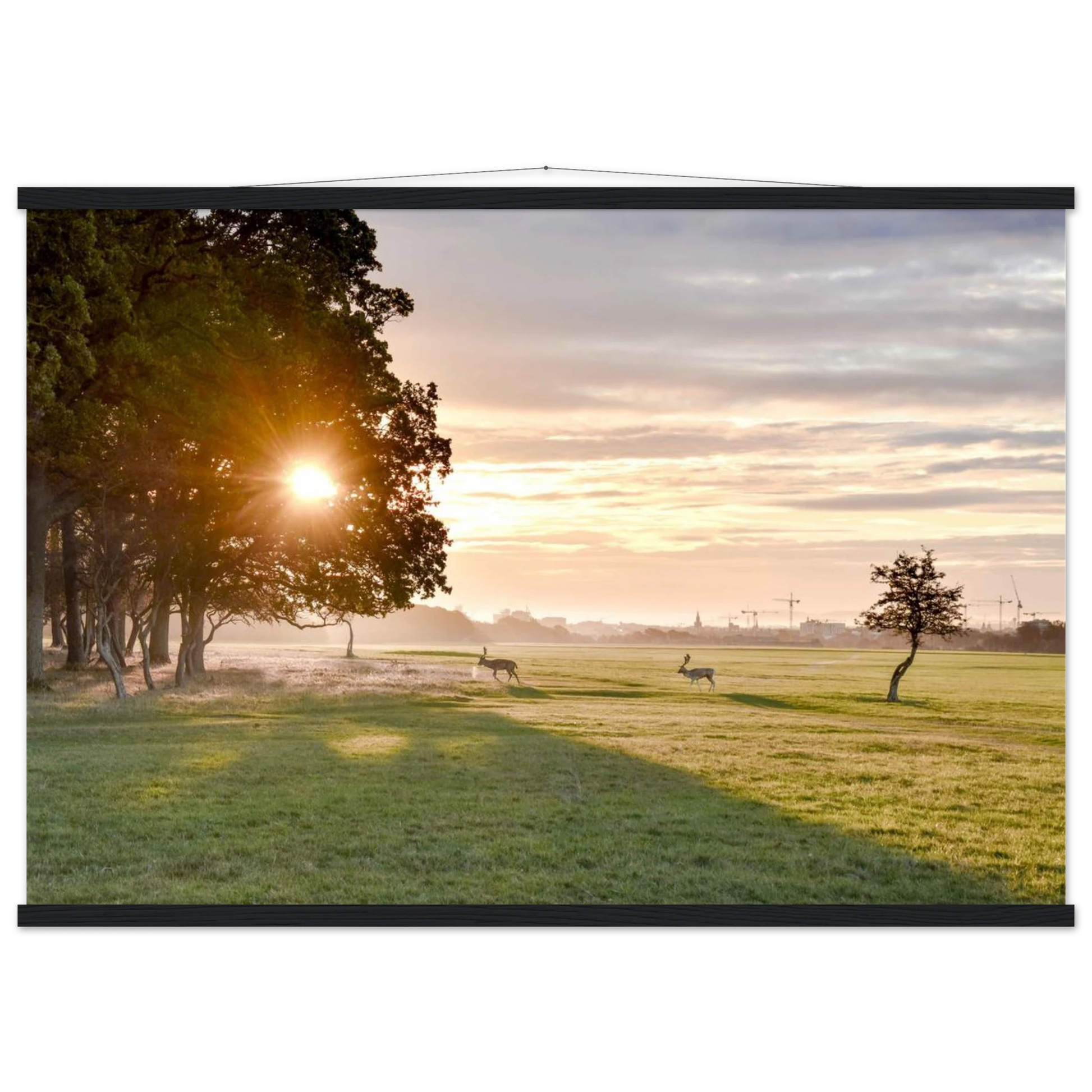 b06bc2ce-e040-49f2-aa6c-173d024c251b