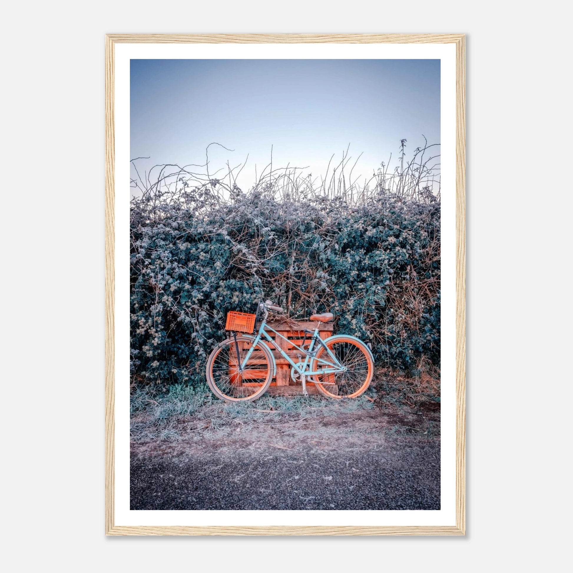 b0ae01b8-3b2b-407a-b8b4-a3e5d8608a82