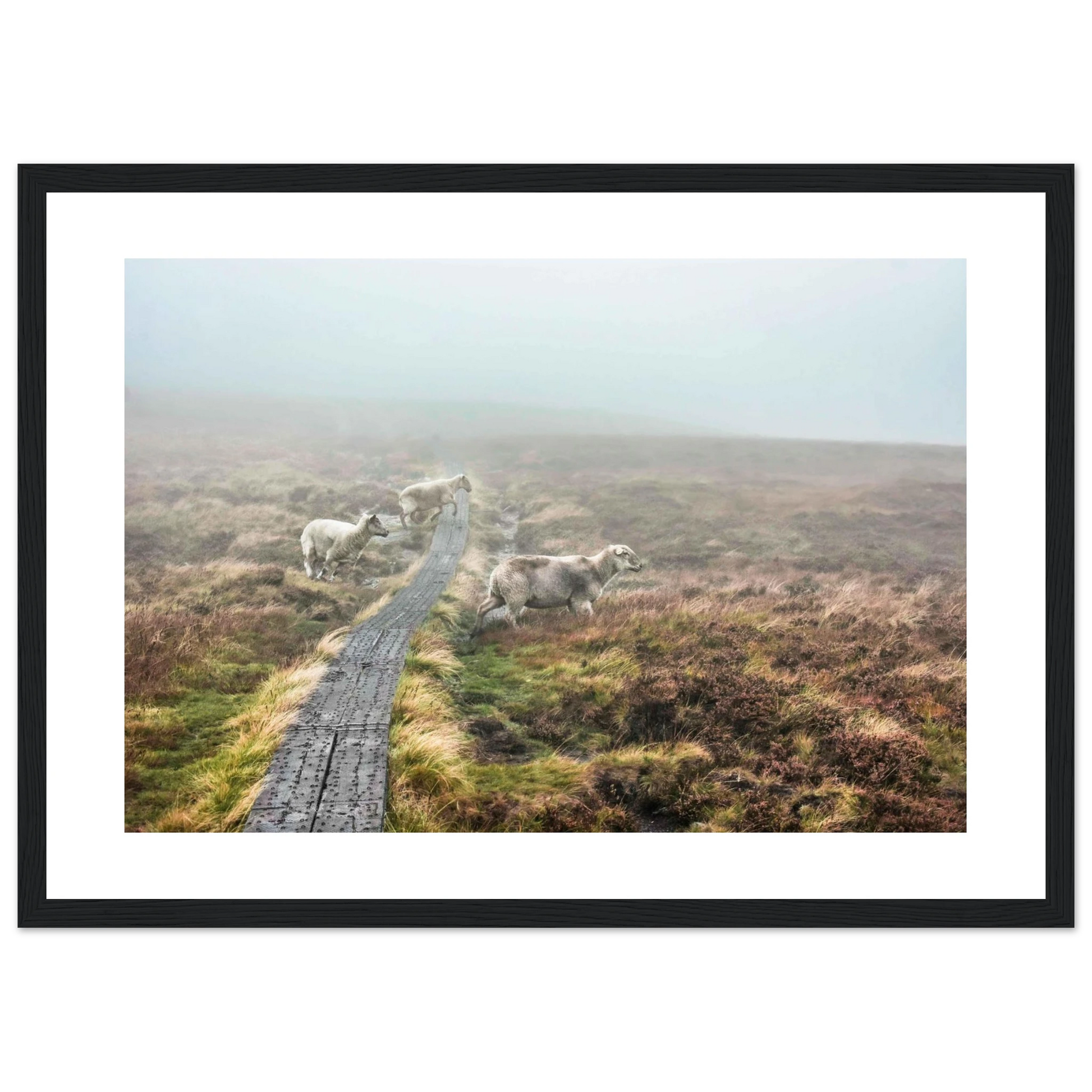 b184e997-3673-47da-a8b2-c88f9825e806