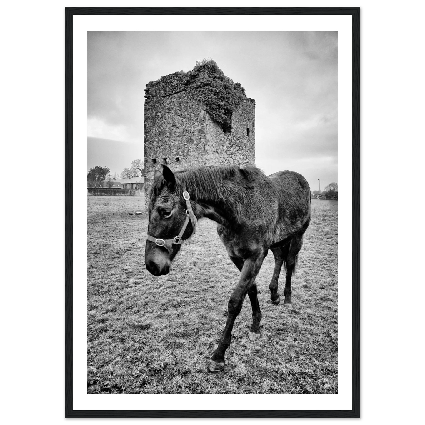 b1ab45ac-df47-4240-899f-99d4a248beb1