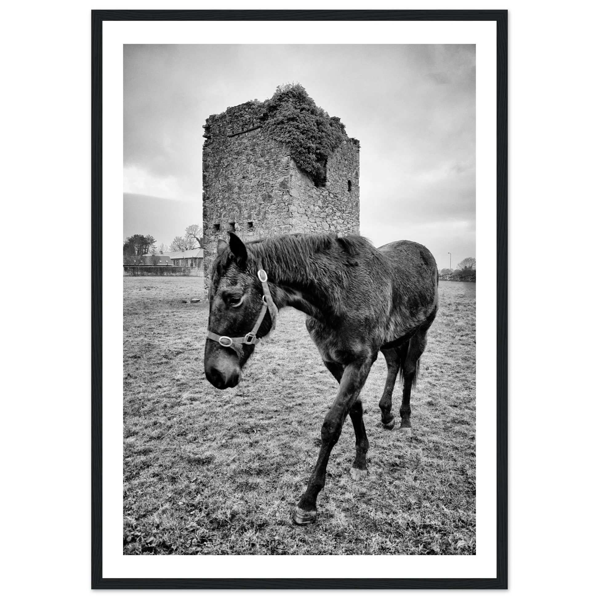 b1ab45ac-df47-4240-899f-99d4a248beb1