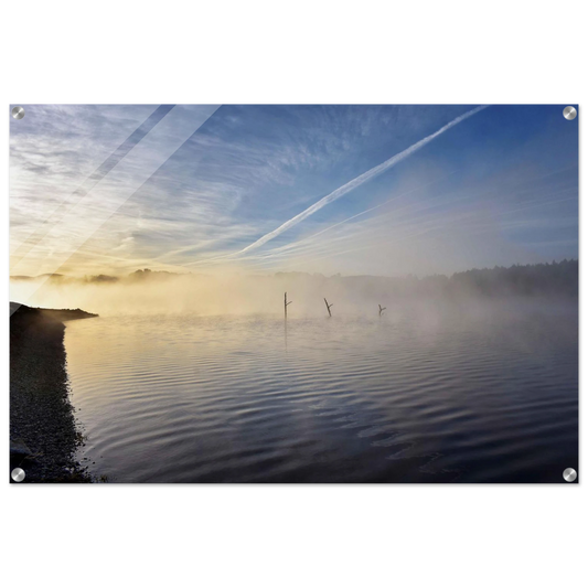 b2478293-797c-4997-b834-d13e35aae5aa