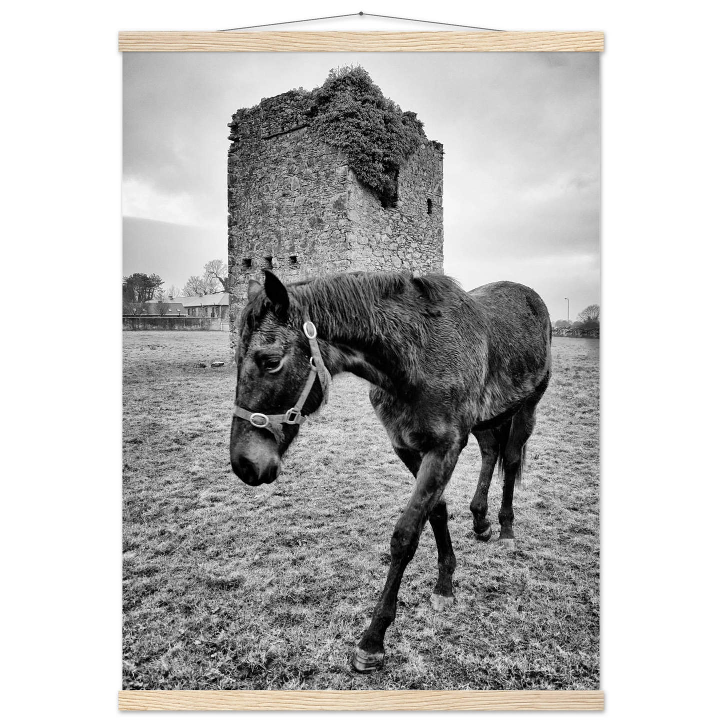 b28545d5-7fe5-400f-98d7-df13a28044e8