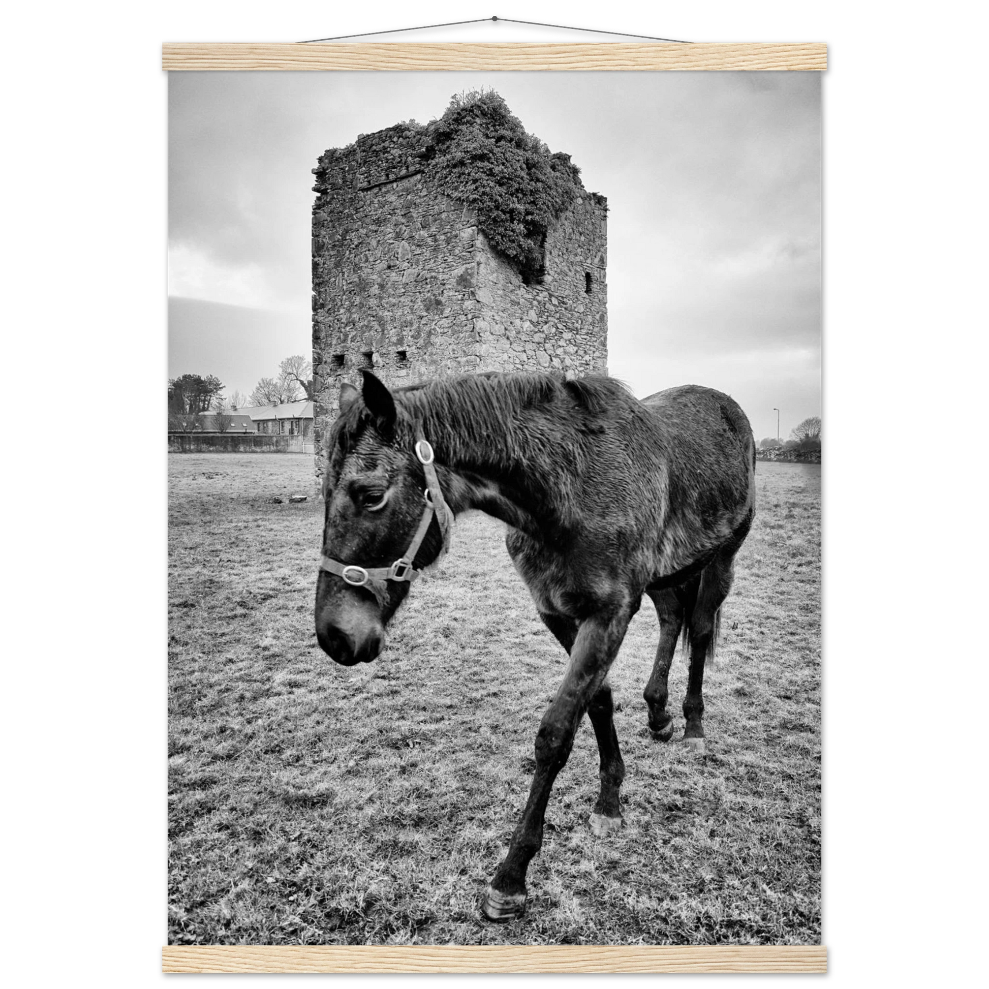 b28545d5-7fe5-400f-98d7-df13a28044e8