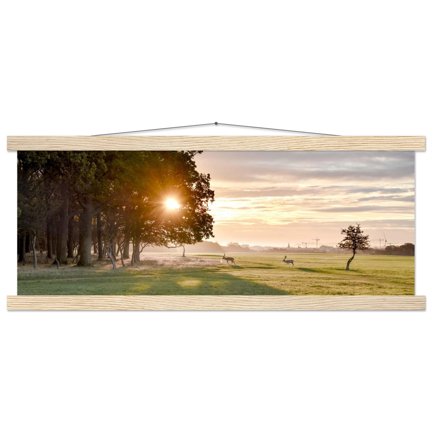 b2b4f514-c377-4fe3-9009-a051935281a4