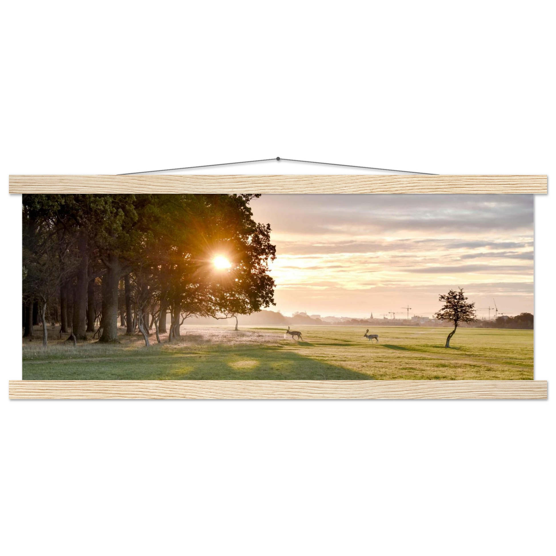 b2b4f514-c377-4fe3-9009-a051935281a4