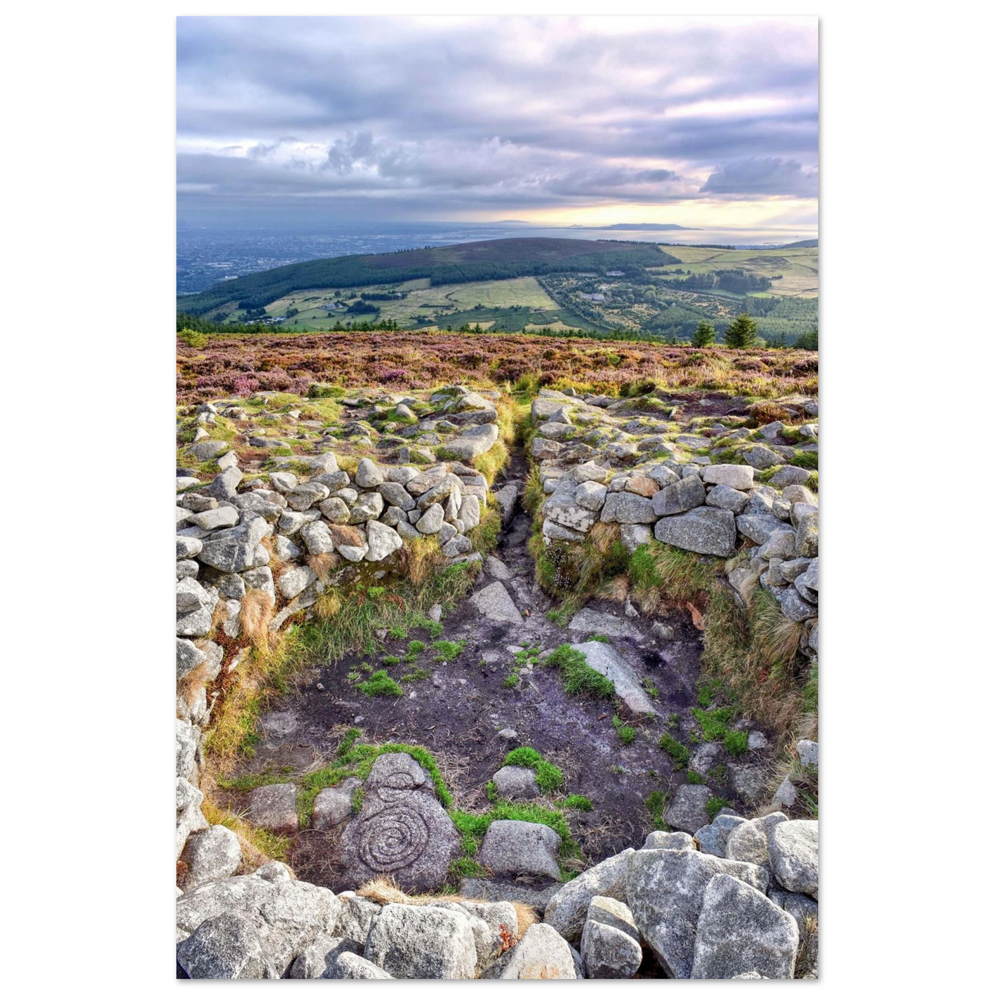 b315b060-06b5-4801-a715-af9103685f39