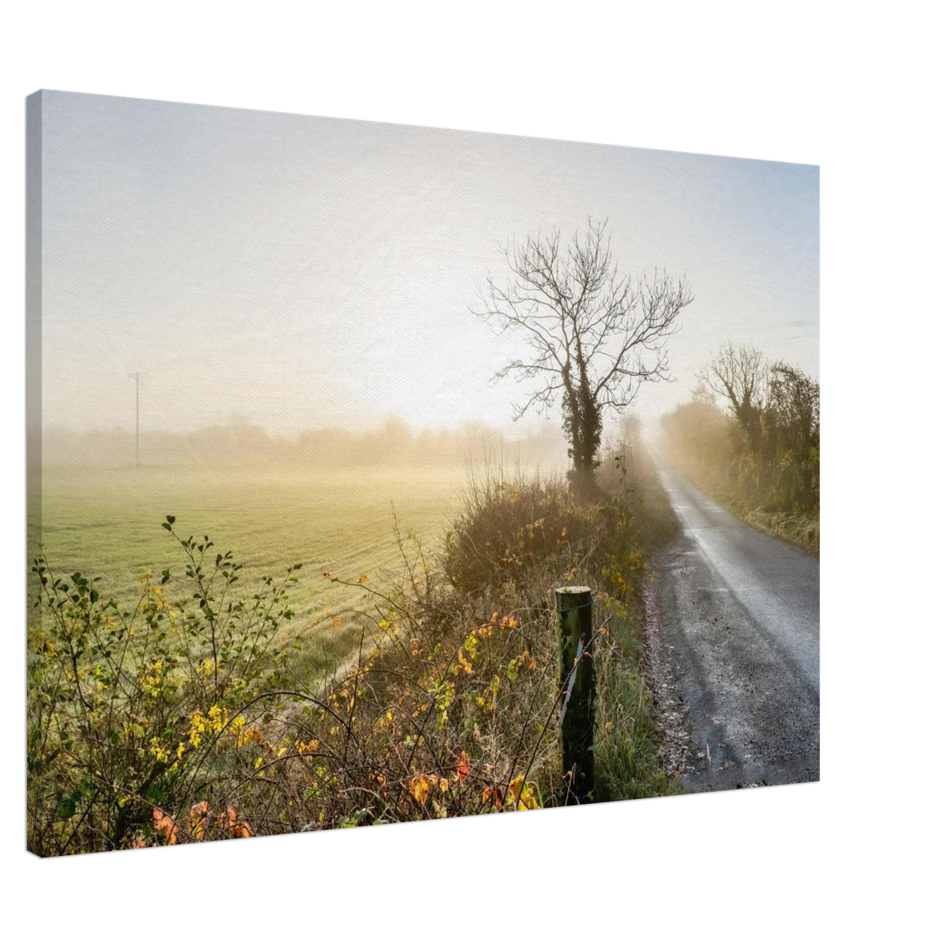 b3819491-512a-4edc-bd68-f3b0de5a40ef