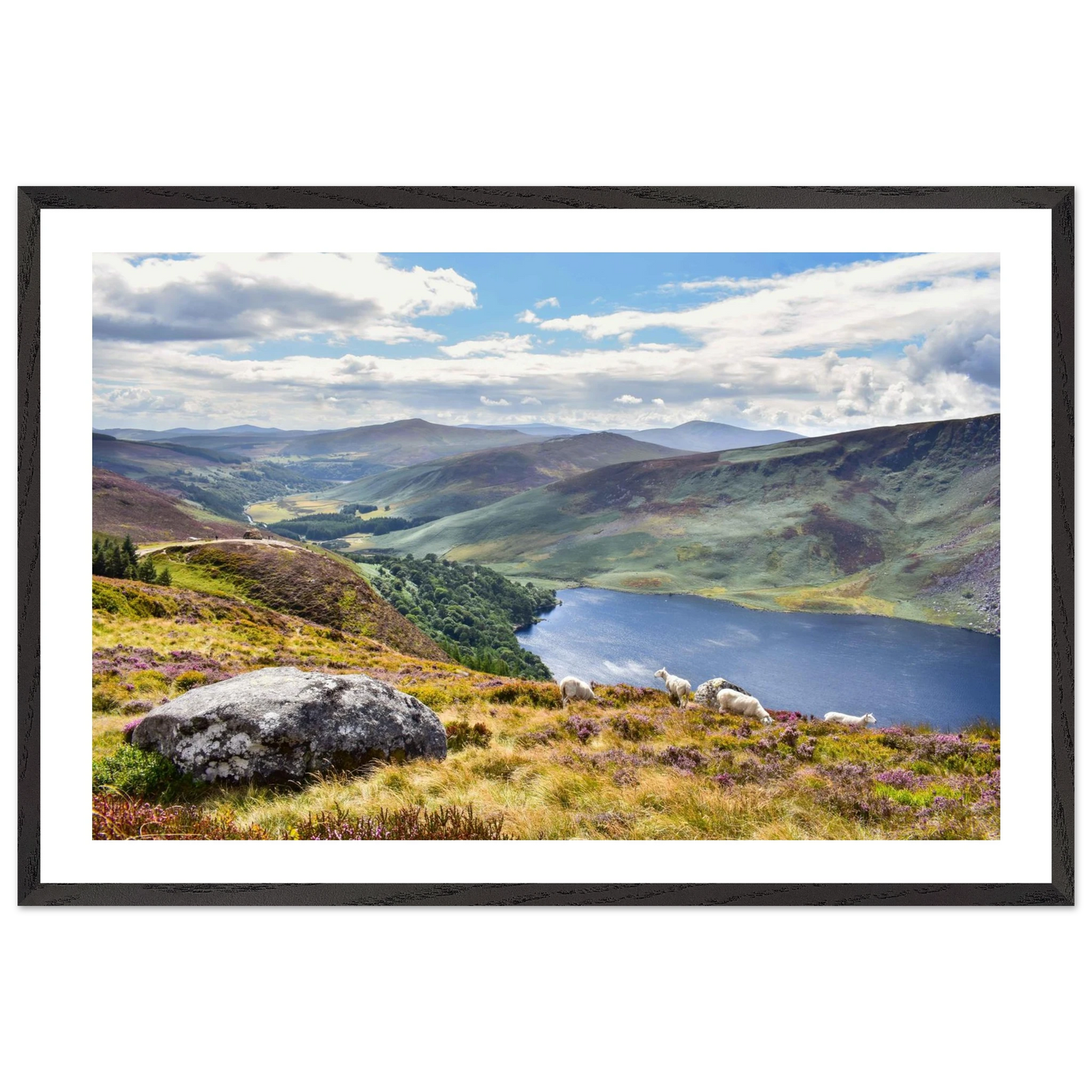 b388f491-9bf8-4820-9277-caf3d9663914