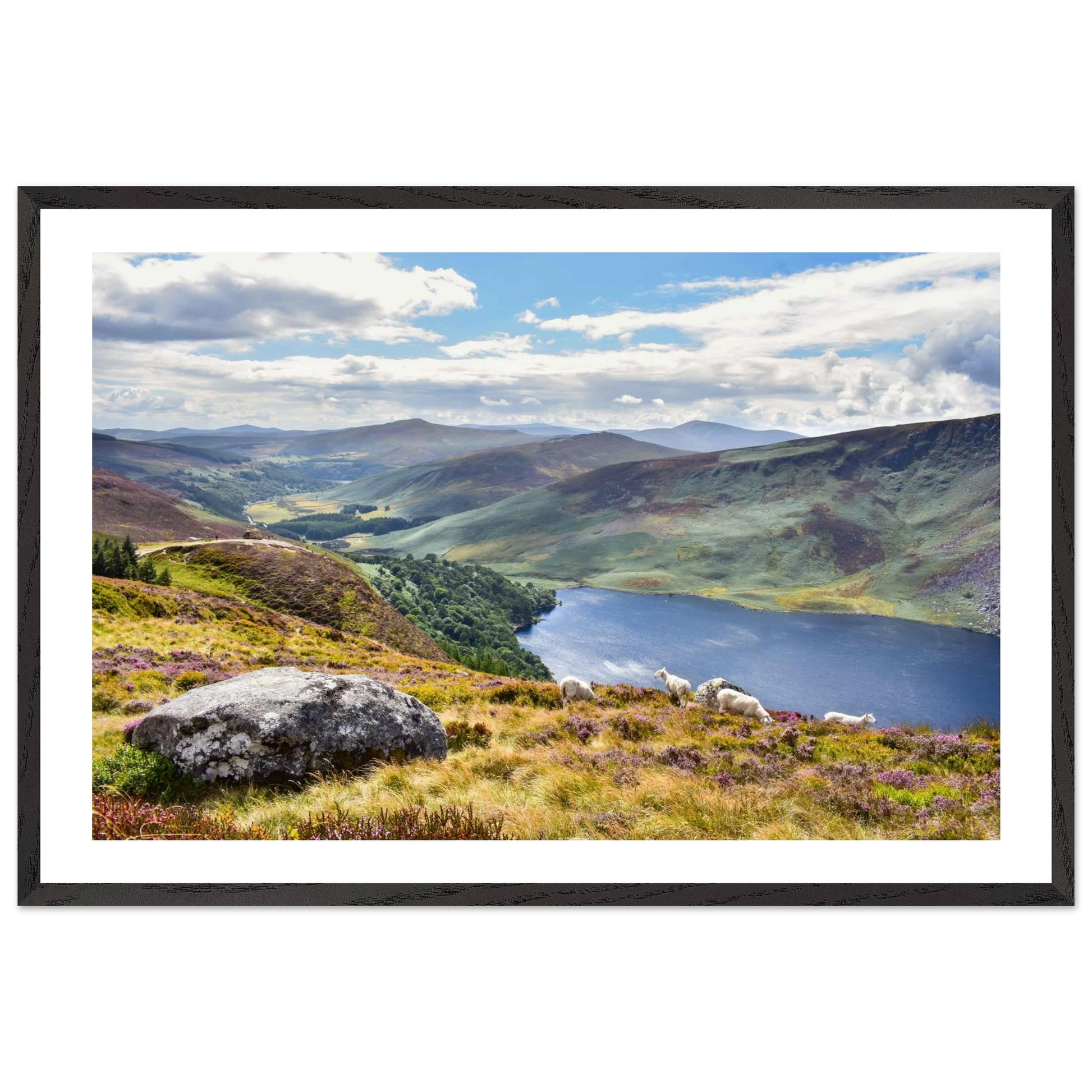 b388f491-9bf8-4820-9277-caf3d9663914