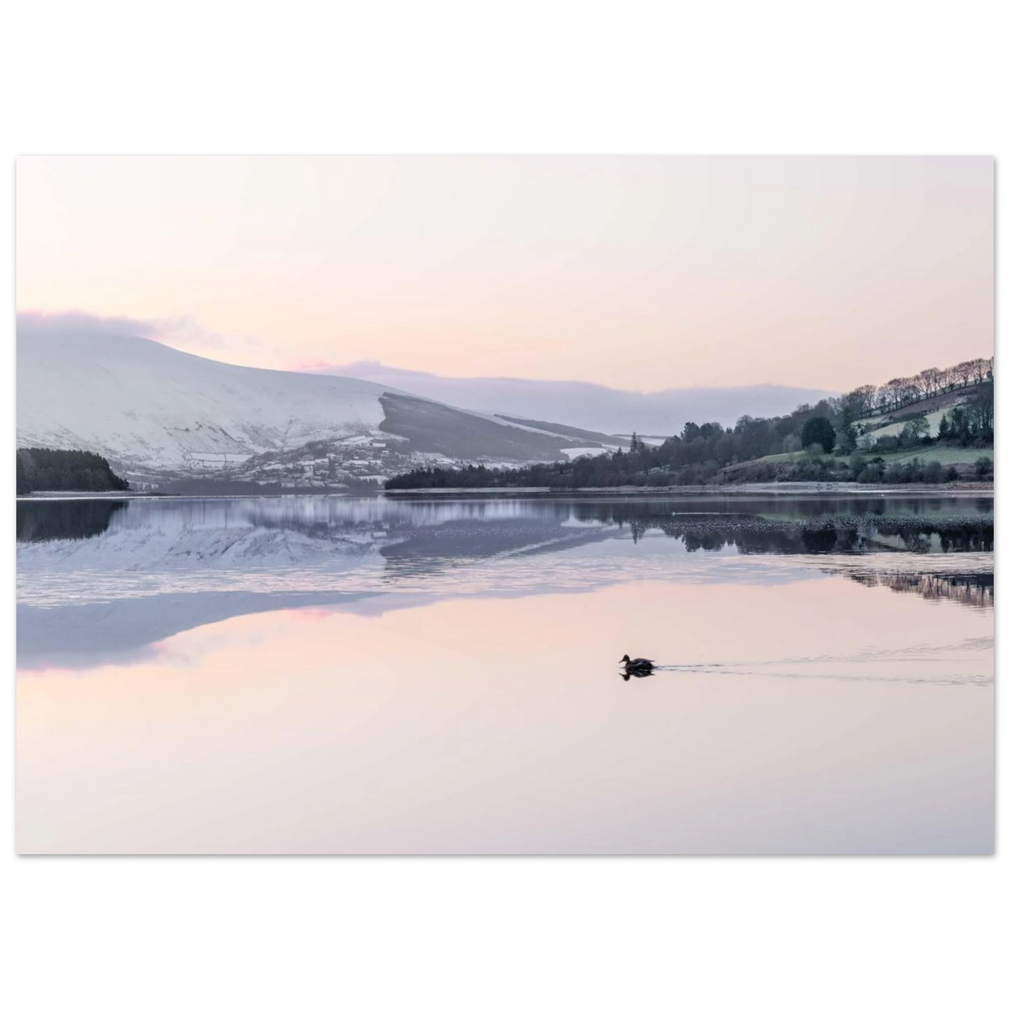 b397794e-944b-4966-8d8d-c68d70832e5d