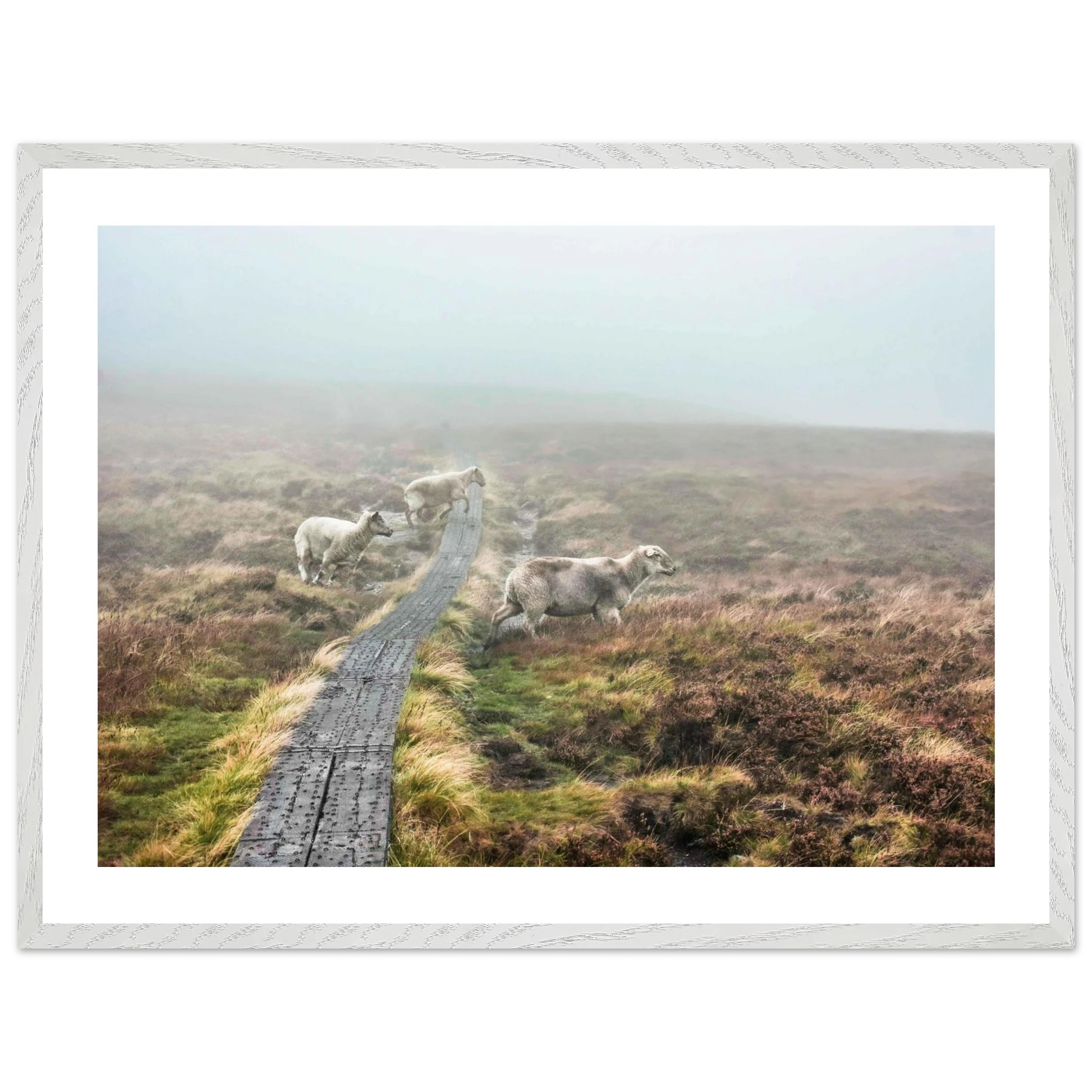 b3b45cbd-e99a-46a1-8473-7f837c66fae7