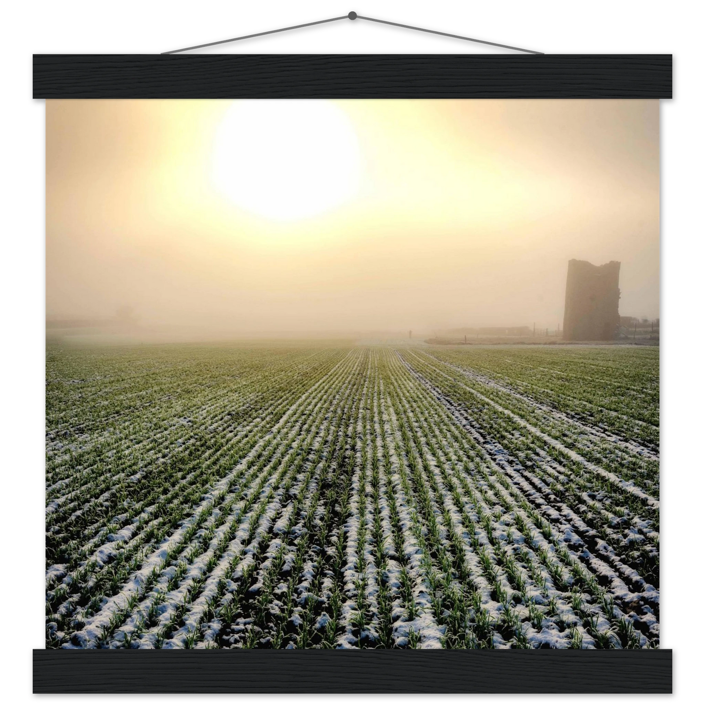 b4c7e4f4-f520-47d5-aa6a-f67b992d2c45