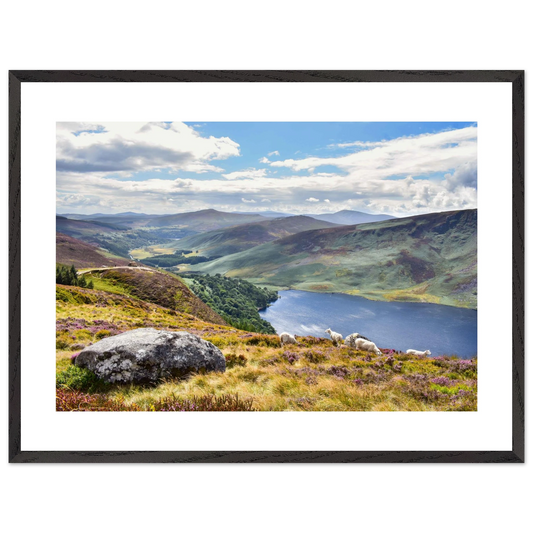 b50adfb4-9c05-400e-b5c7-731646fc3f00