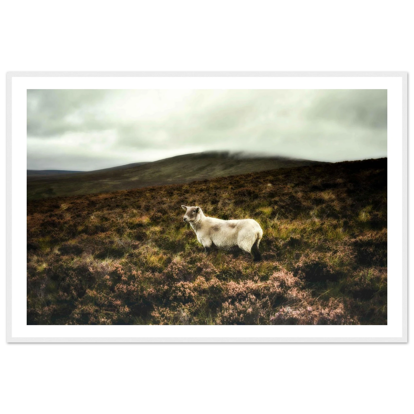 b53091b1-969c-4f1d-a7ec-25d7261a8fa7