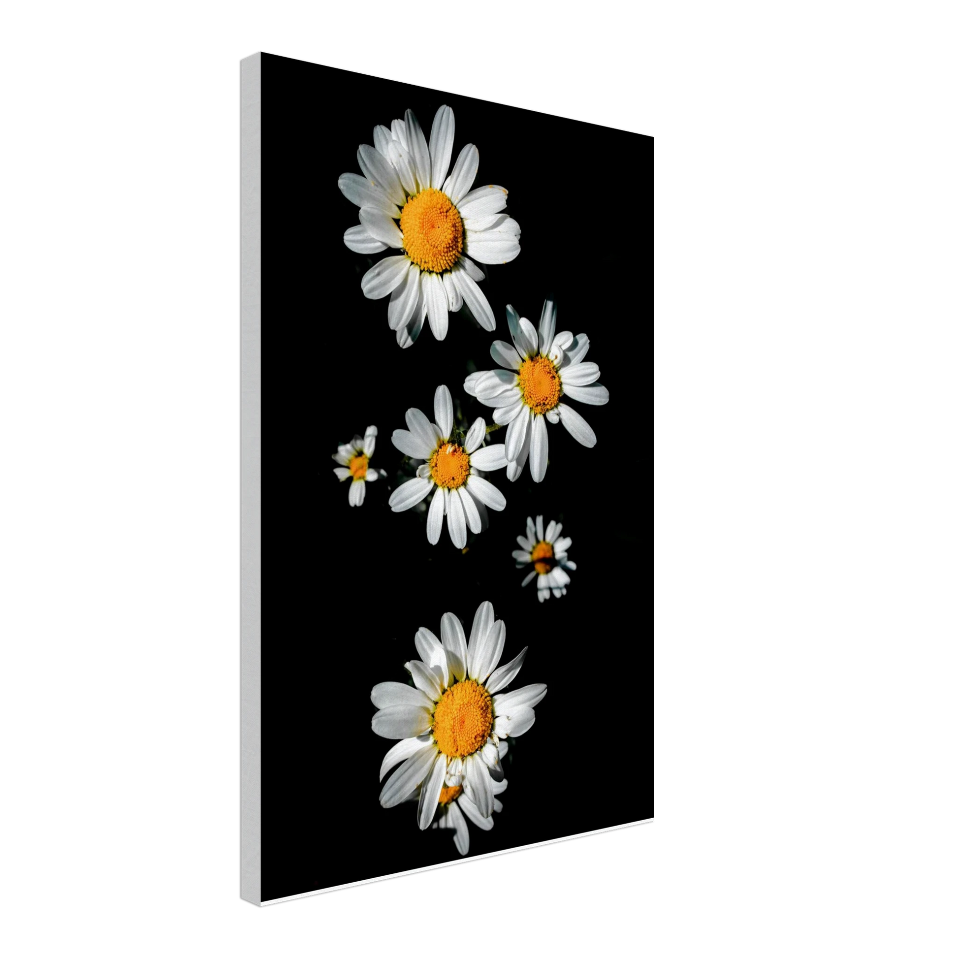 b54fc57e-d7b5-4b13-b209-a07630e35e9c