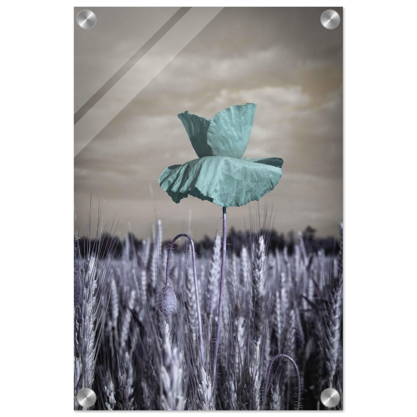 b57a7cac-6a7d-4d9a-b9b4-144de2efa9eb