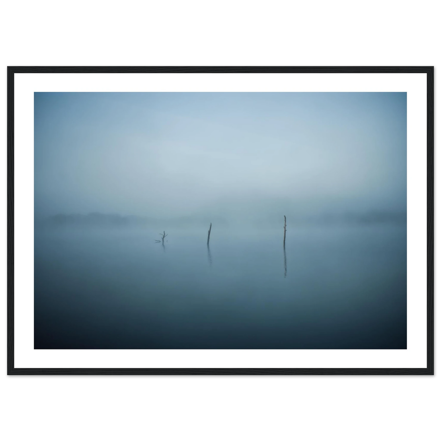 b5a514e9-1cdb-4b80-8109-fa02981f331c