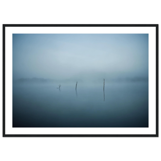 b5a514e9-1cdb-4b80-8109-fa02981f331c