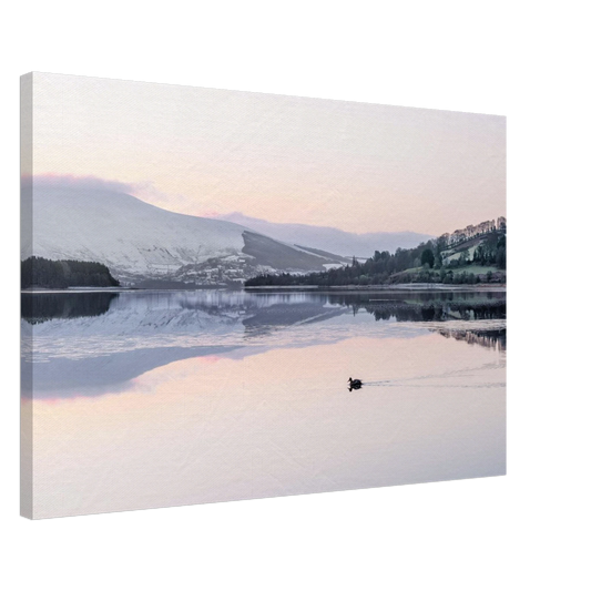 b5db1b6c-6ffd-40d0-8903-5cce6e391f28