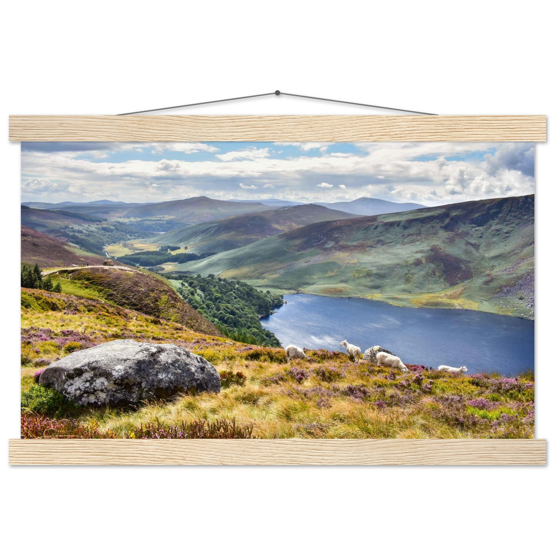 b670725e-c34c-41b8-96bb-63cd0206fc25