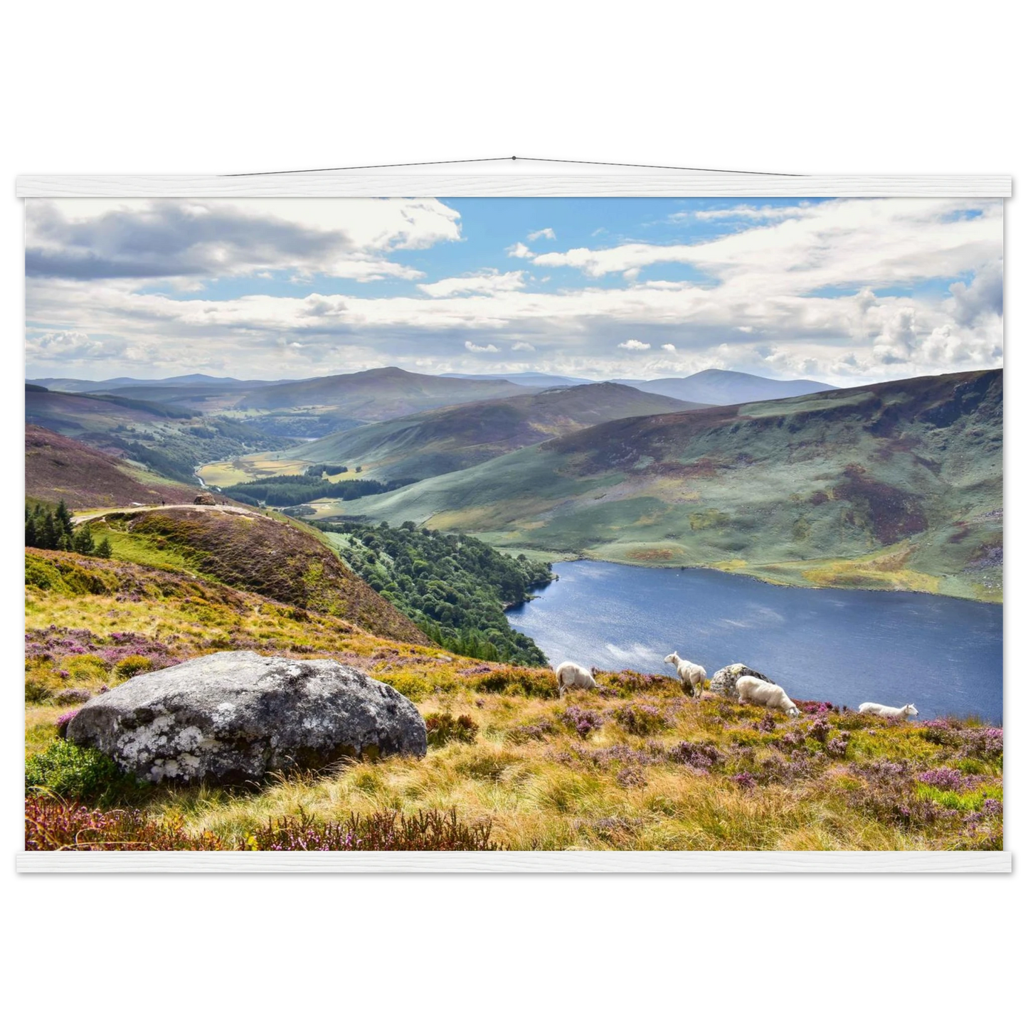 b6b53ec8-7e3b-4a2b-9679-e7022180adff