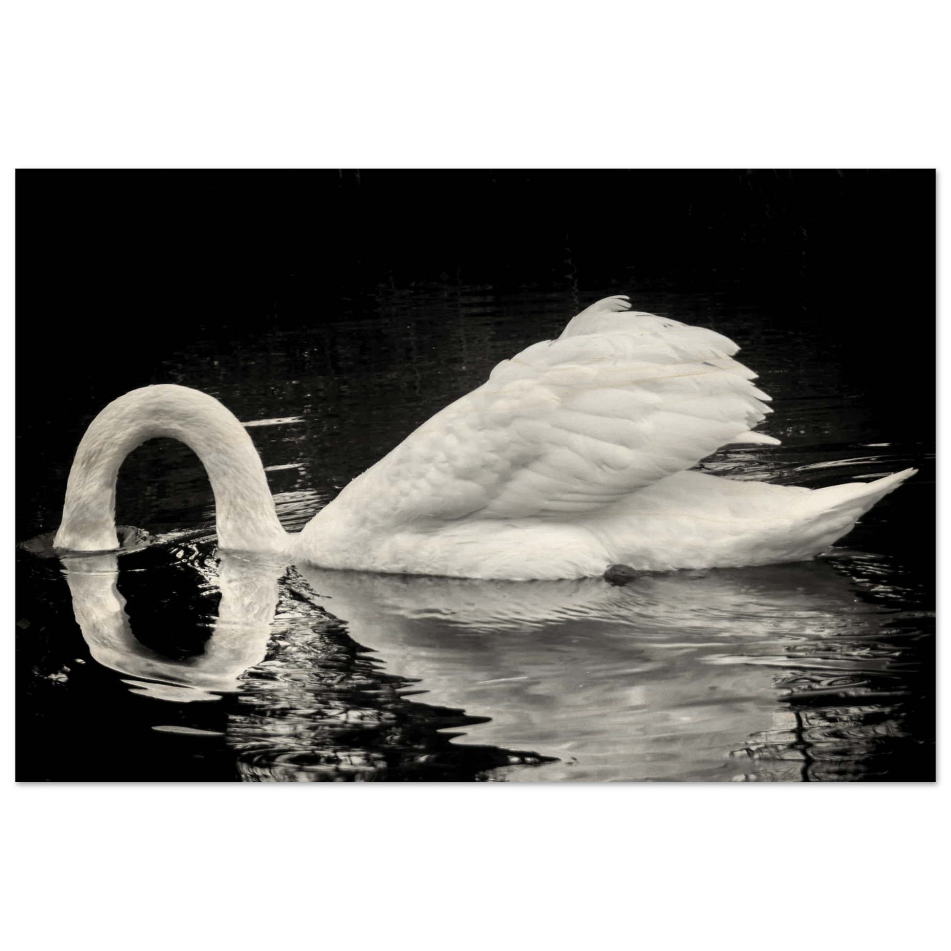 b70dadd5-f65e-49a6-863a-6f5eb6222886