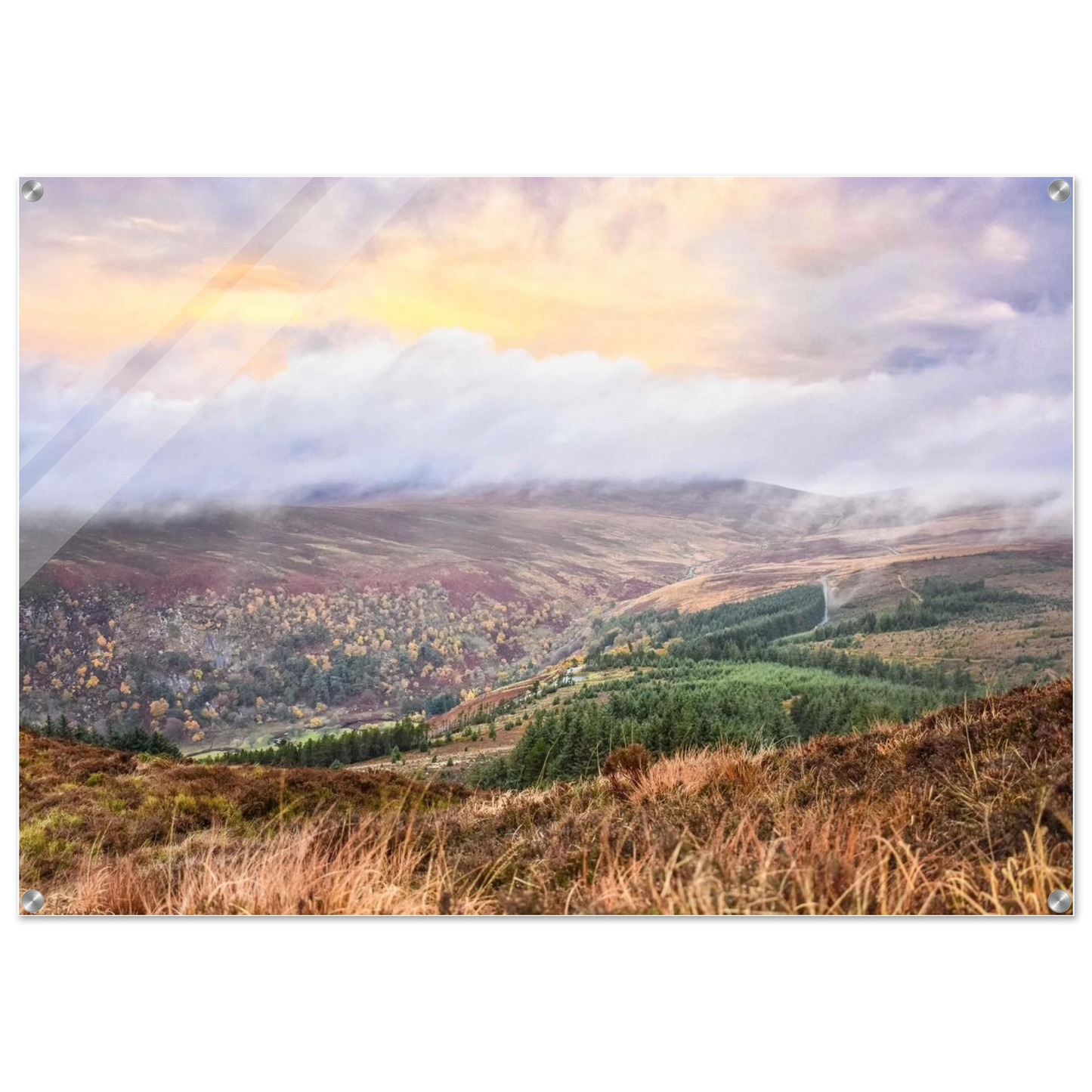 b733597e-2a65-456f-ad8f-4afa3355c996