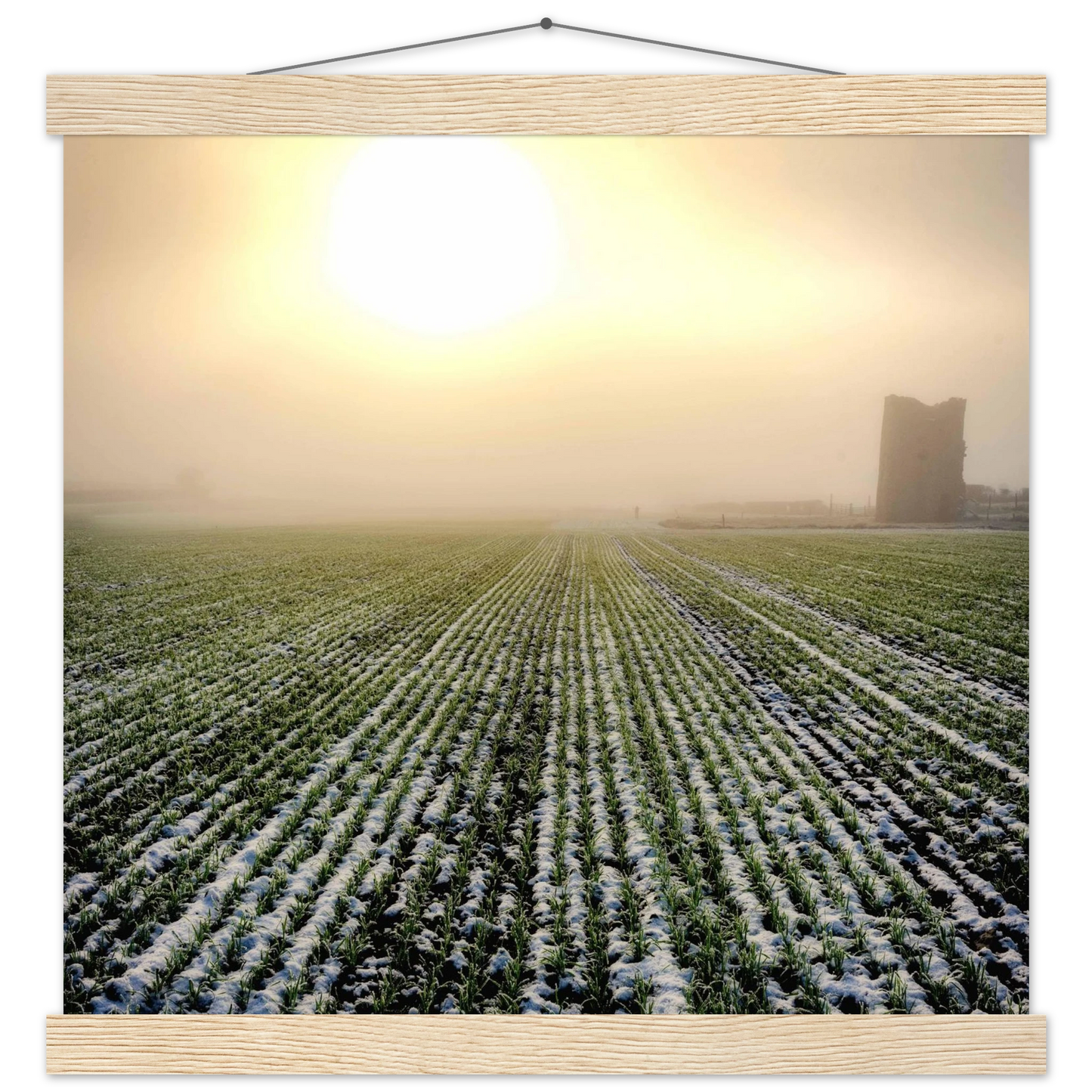 b810b01a-818b-402c-af3c-52de735cacd8