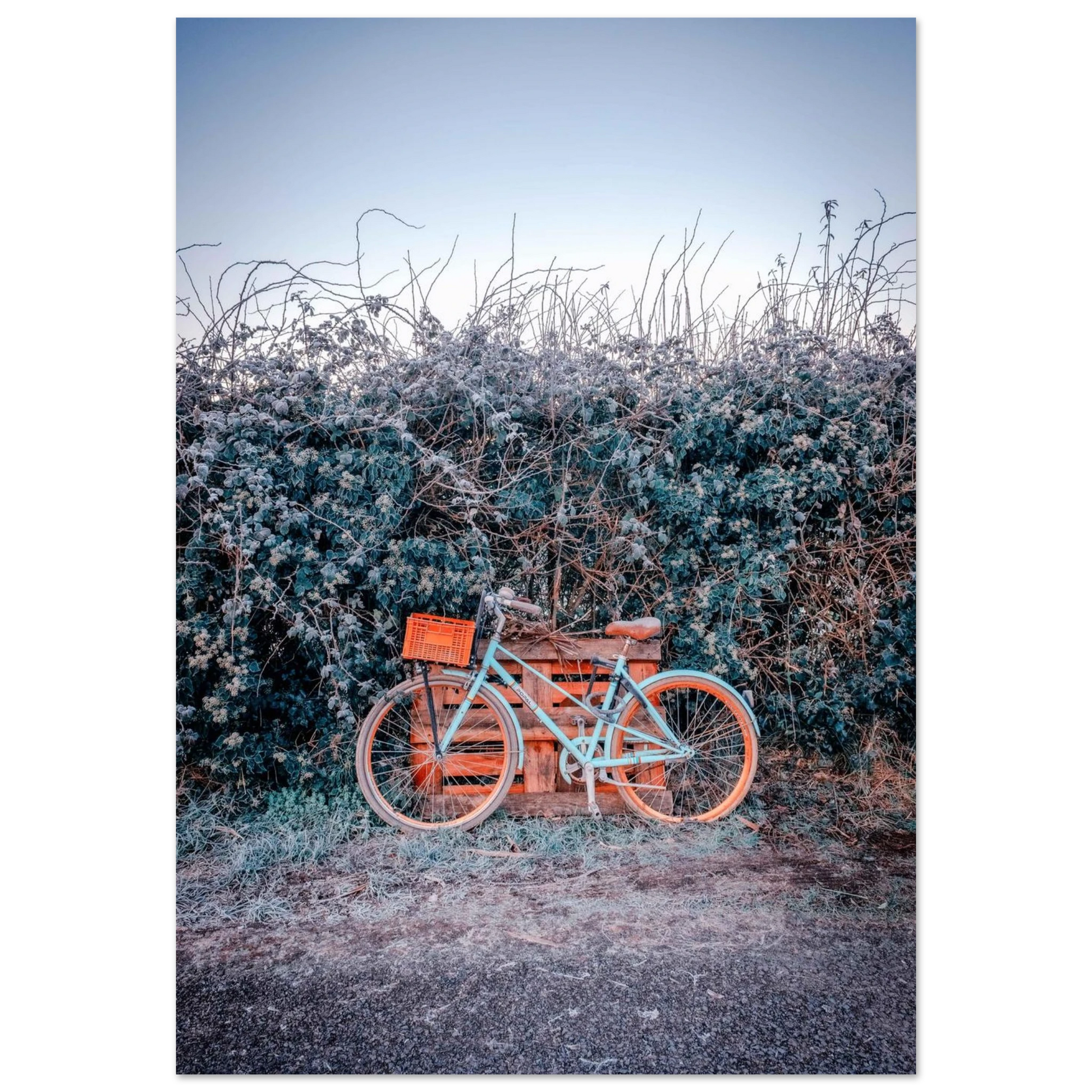 b82b254e-8897-414e-bcca-382d3d082151