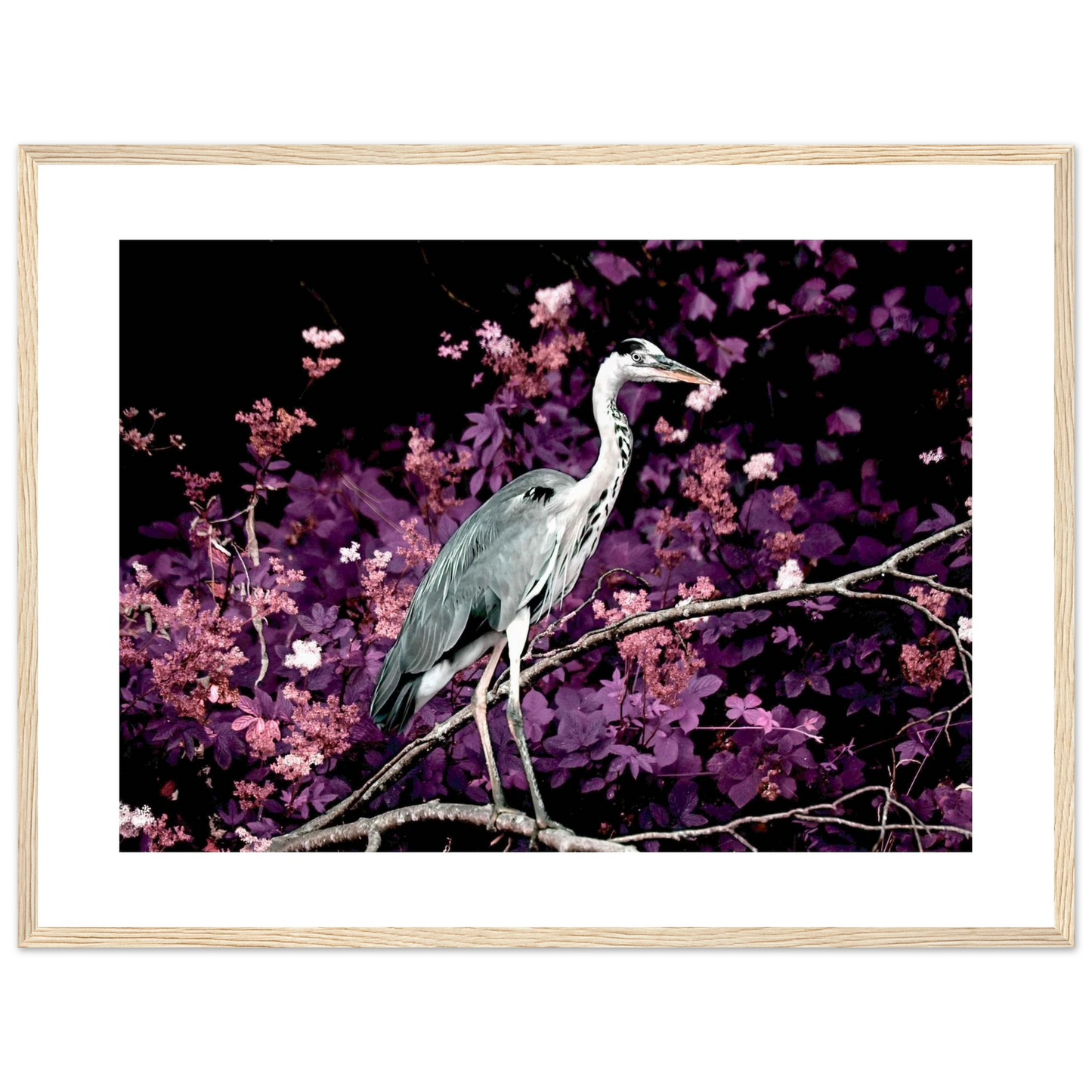 b91590ef-9d35-4544-8db5-e3be4572b53b