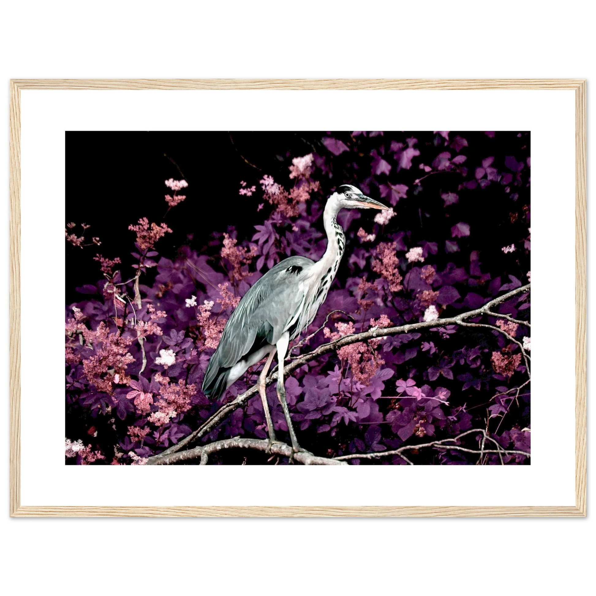 b91590ef-9d35-4544-8db5-e3be4572b53b