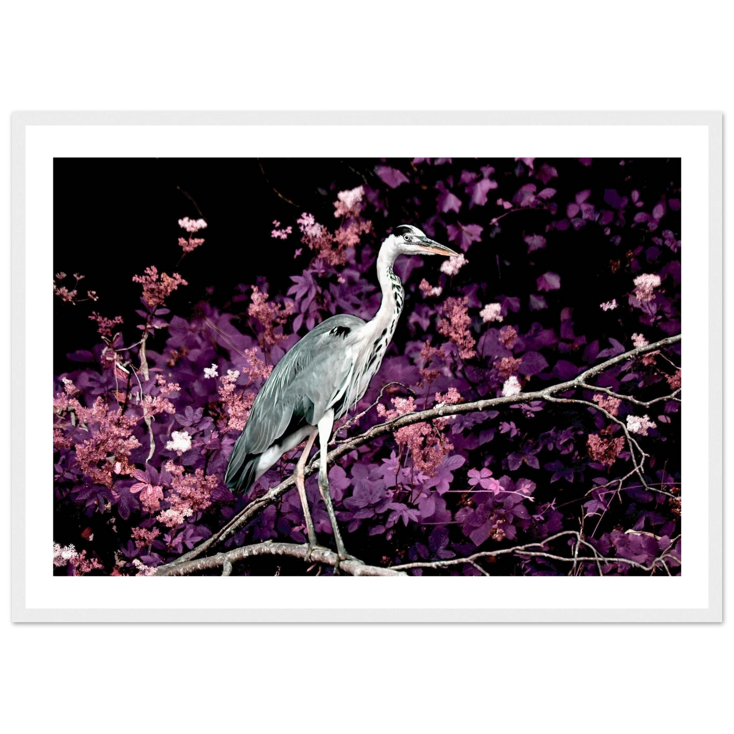 b97056f9-0f64-4e4b-9d1a-5e6b750da637