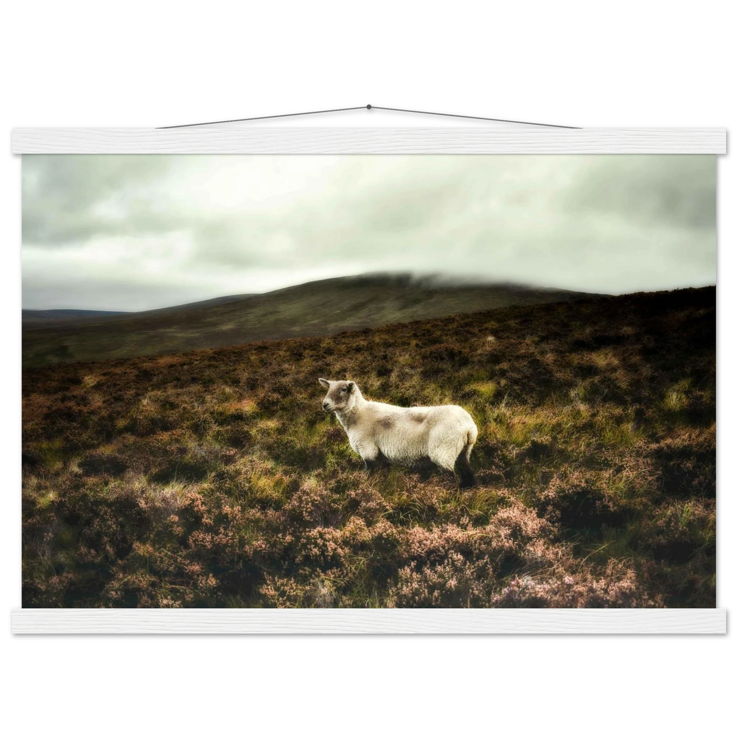 b9d3cc26-7954-4d2e-83c0-21cb4f0a9bae