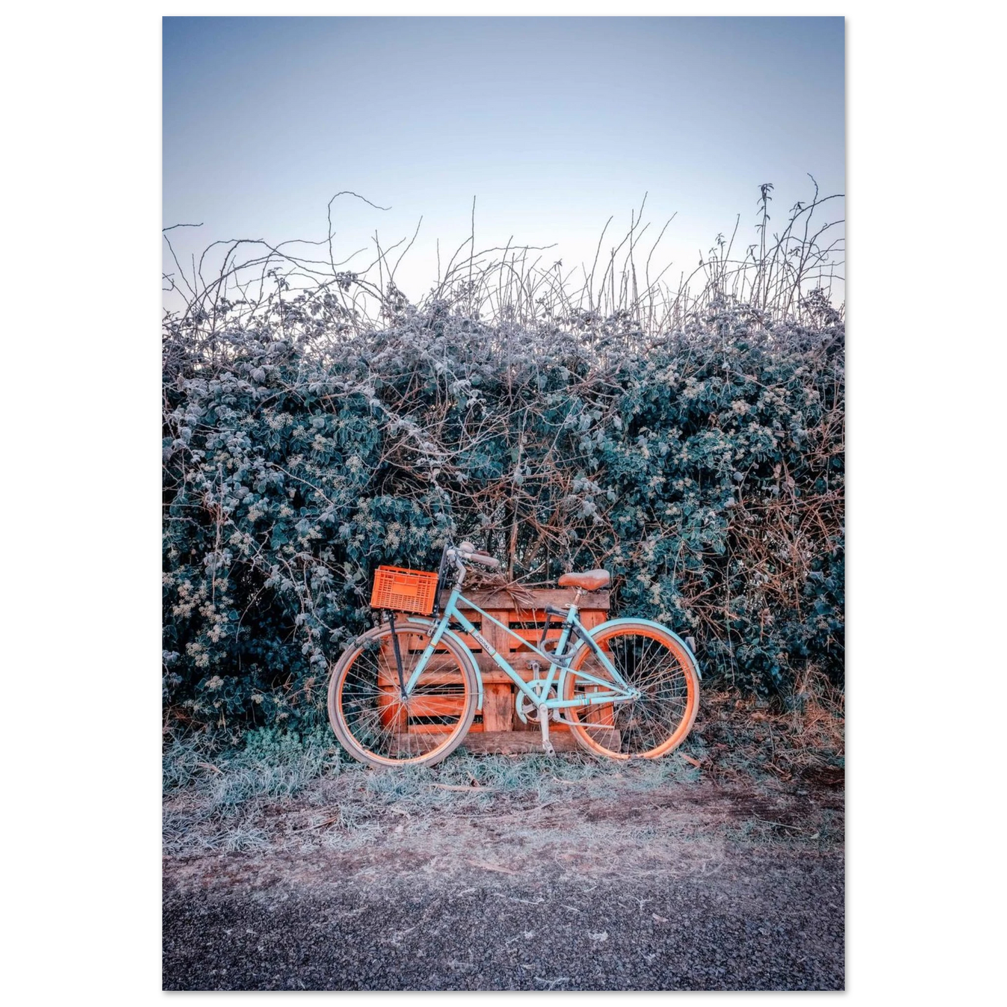 b9d9c8a8-1e07-4ff2-8e19-b5b7d399e592