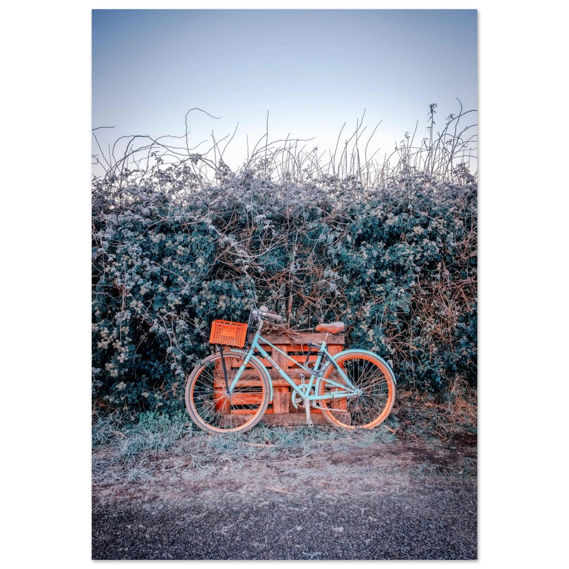 b9d9c8a8-1e07-4ff2-8e19-b5b7d399e592