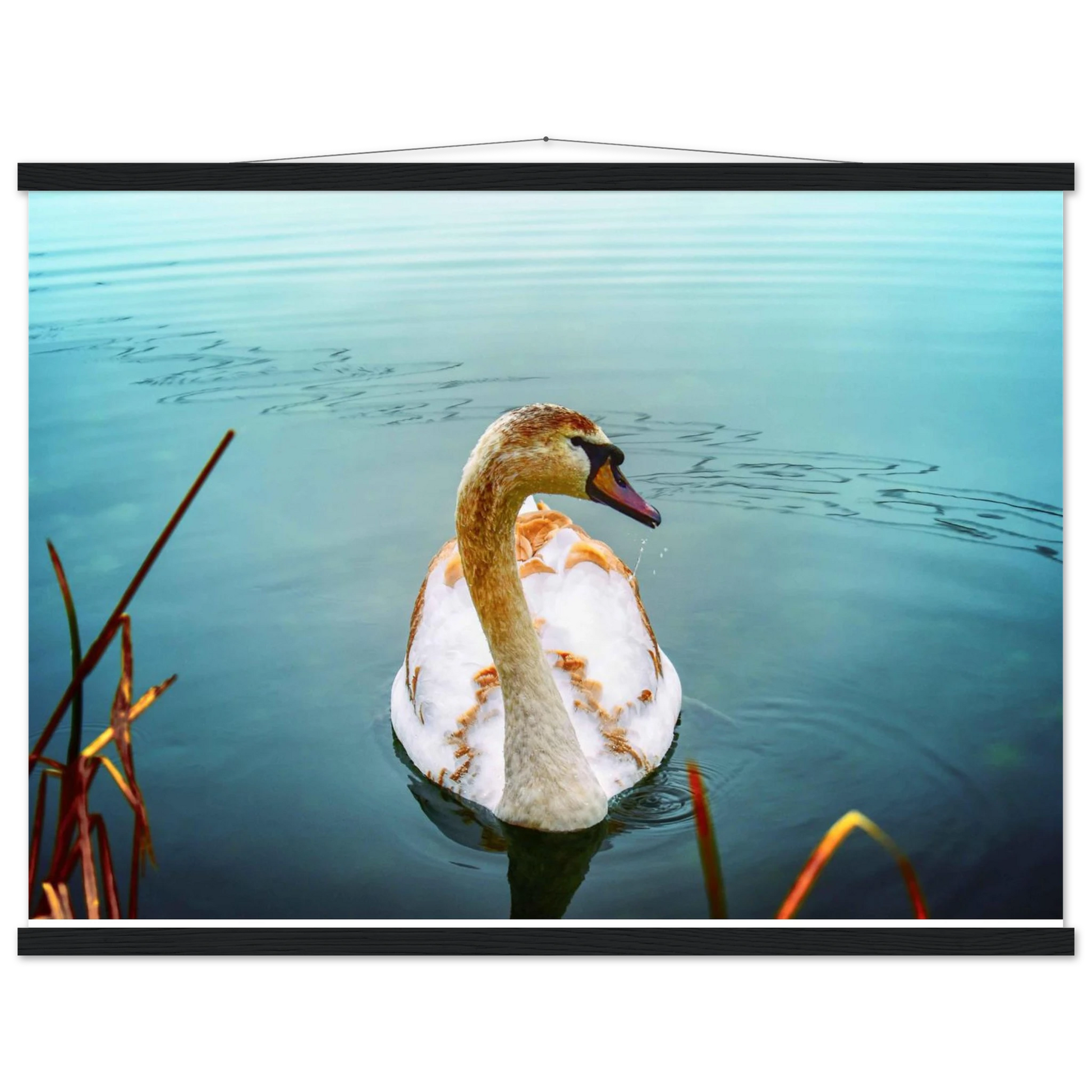 b9fb3af3-cff5-4155-81b4-183803d92904