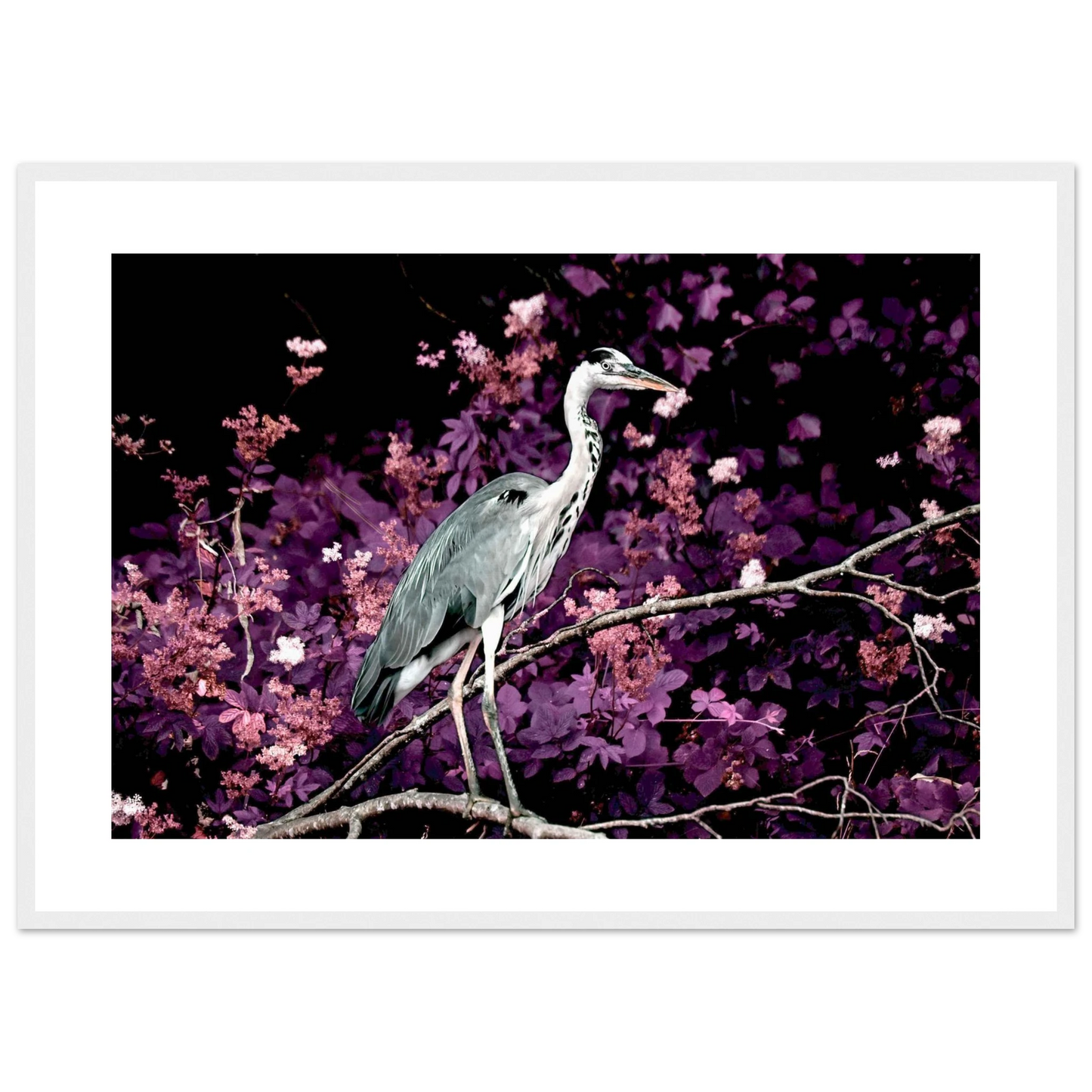 ba1276b6-30fe-4f08-bf42-f184b95a7f8f