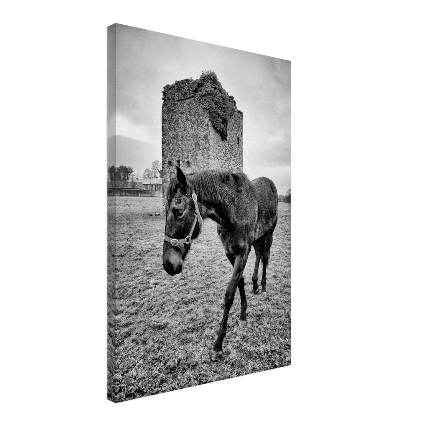 ba8c26ee-72aa-4fd7-9886-5ab42000d962