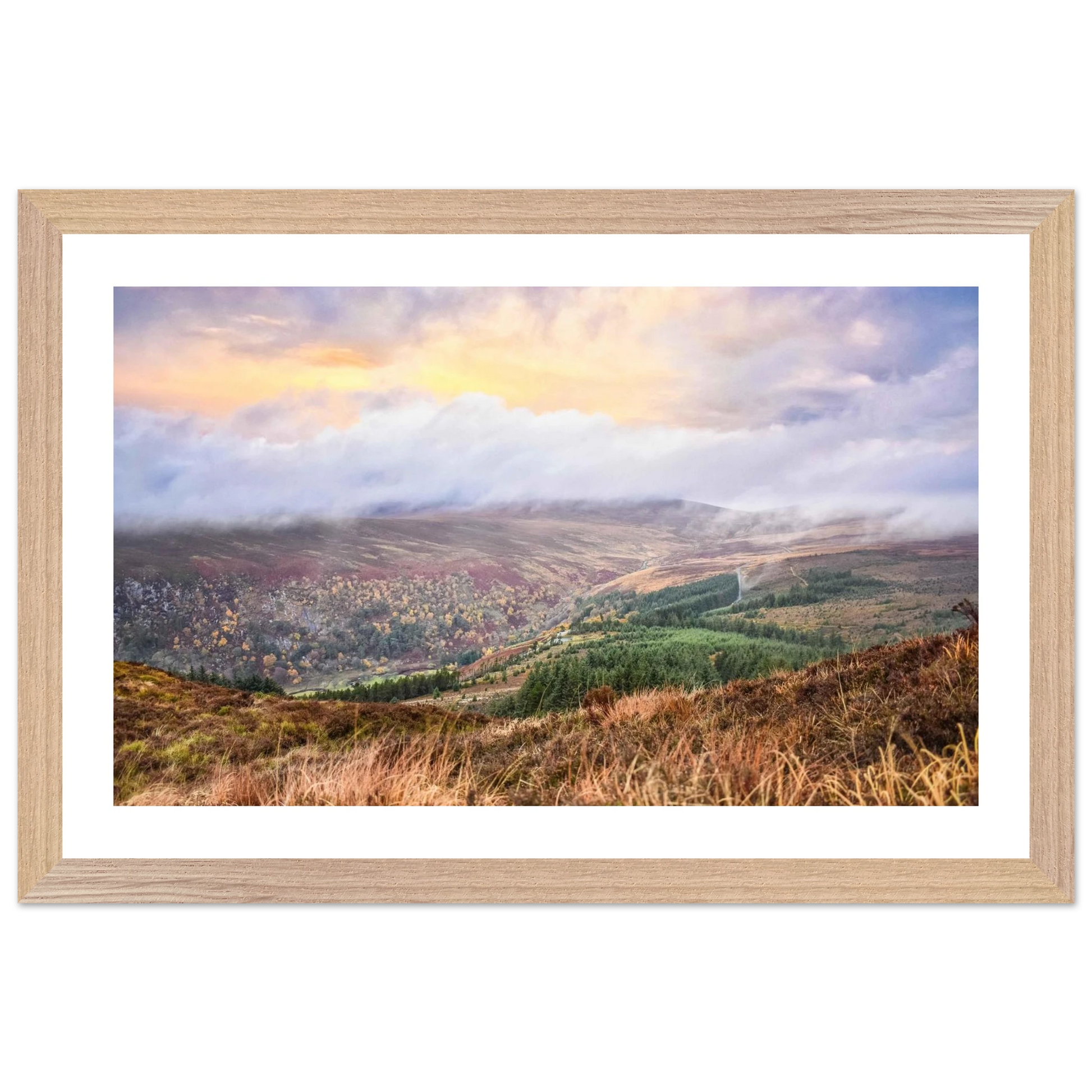 bc082250-88ba-448c-9865-0585e720dabc