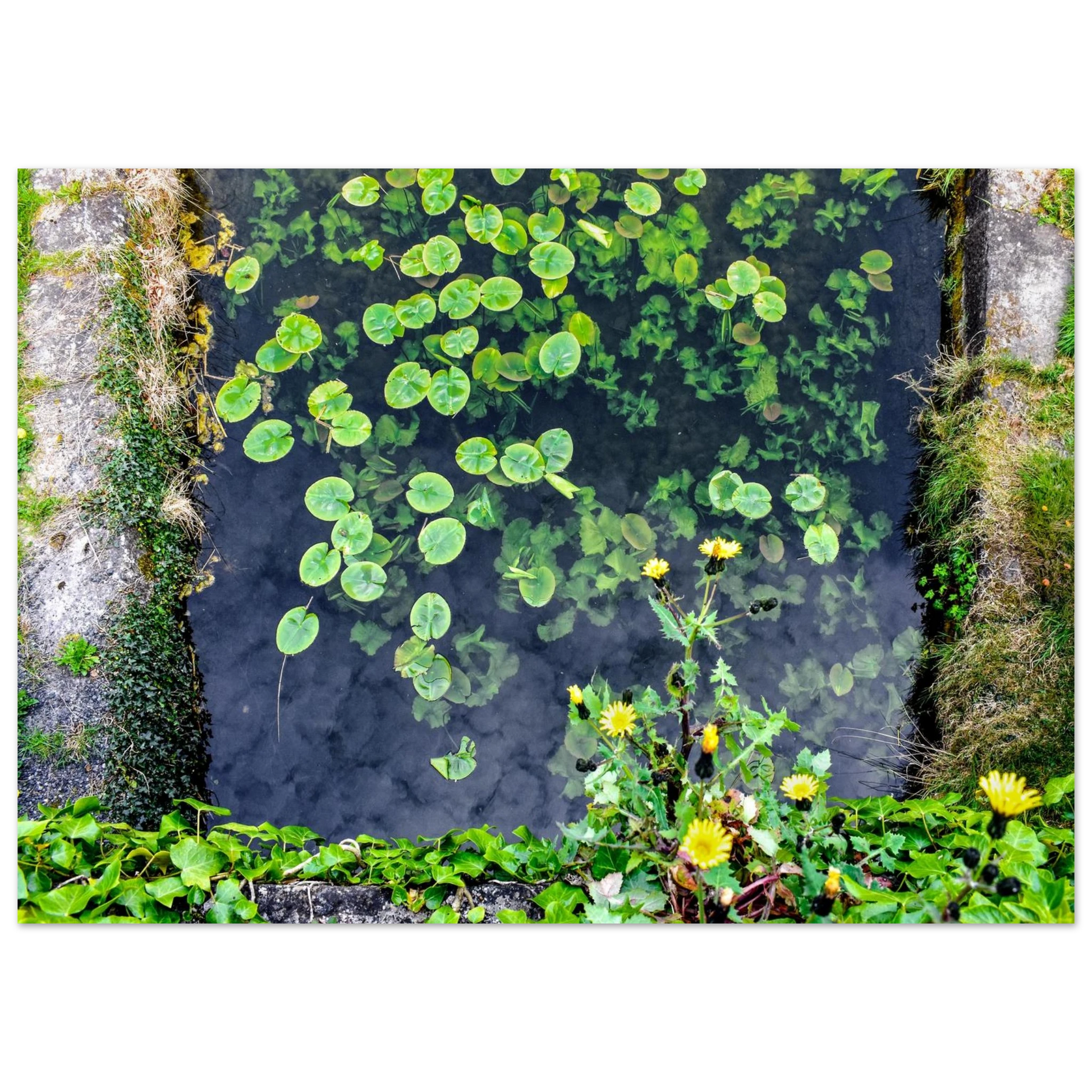 bc1c0bf1-cf9d-414d-b784-e2fba4d2df0b