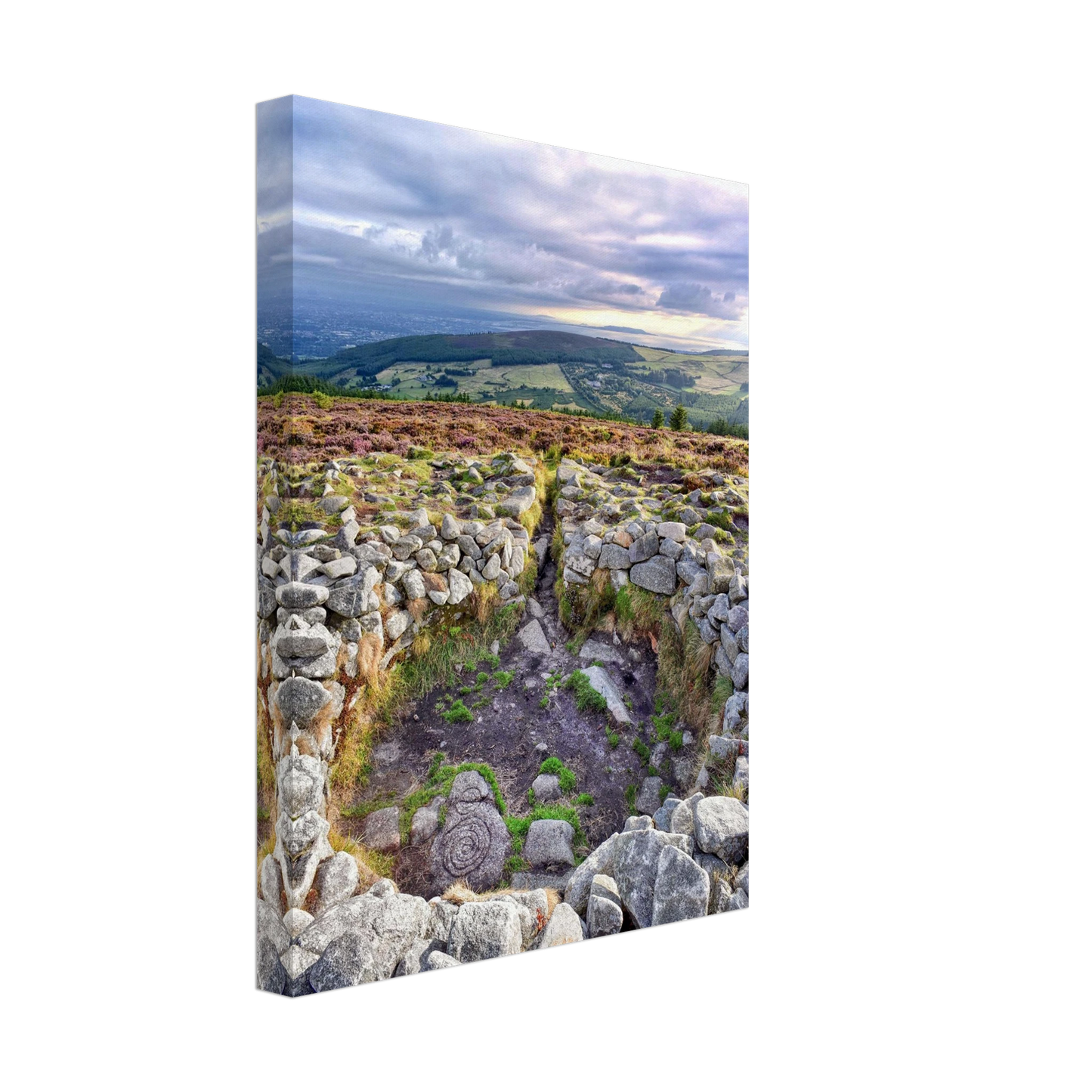 bc27c1bd-50f2-4206-b5cc-9ea59ec1b5f1