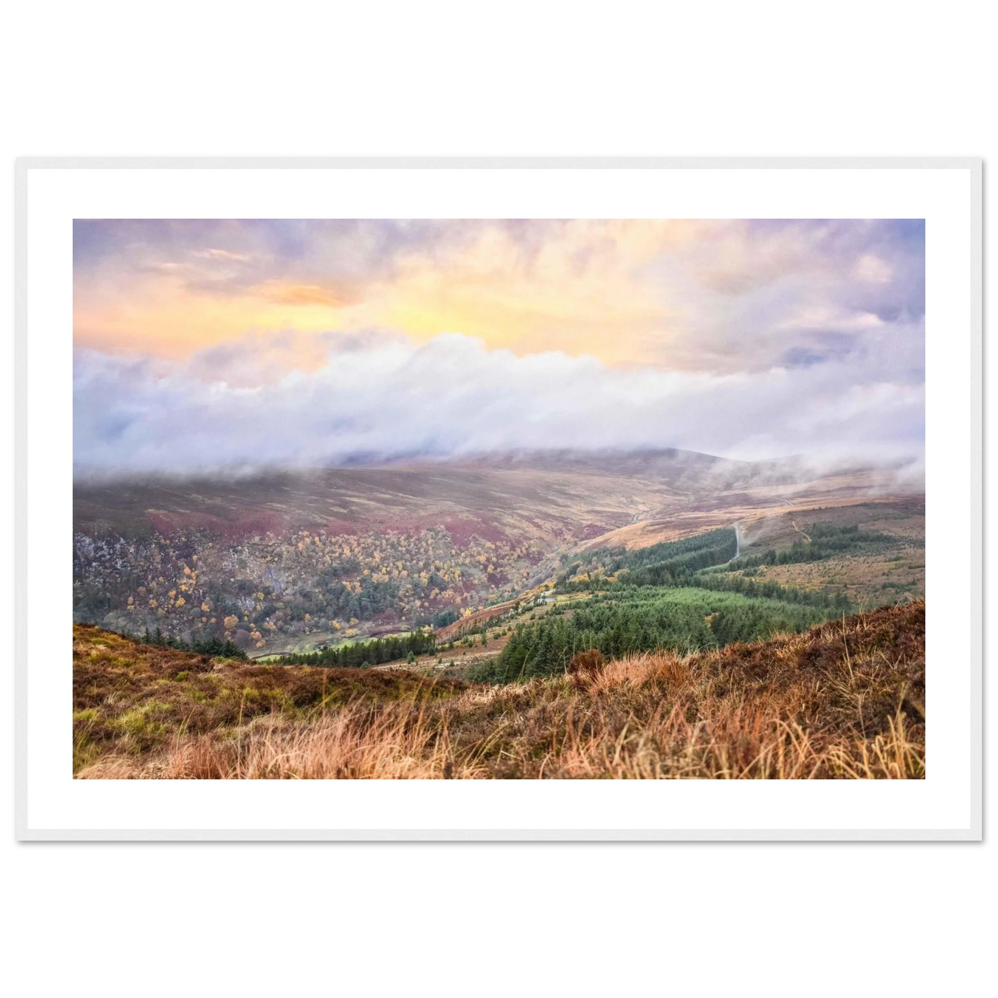 bc316b72-00c9-4ff2-8354-c9f9741597c8