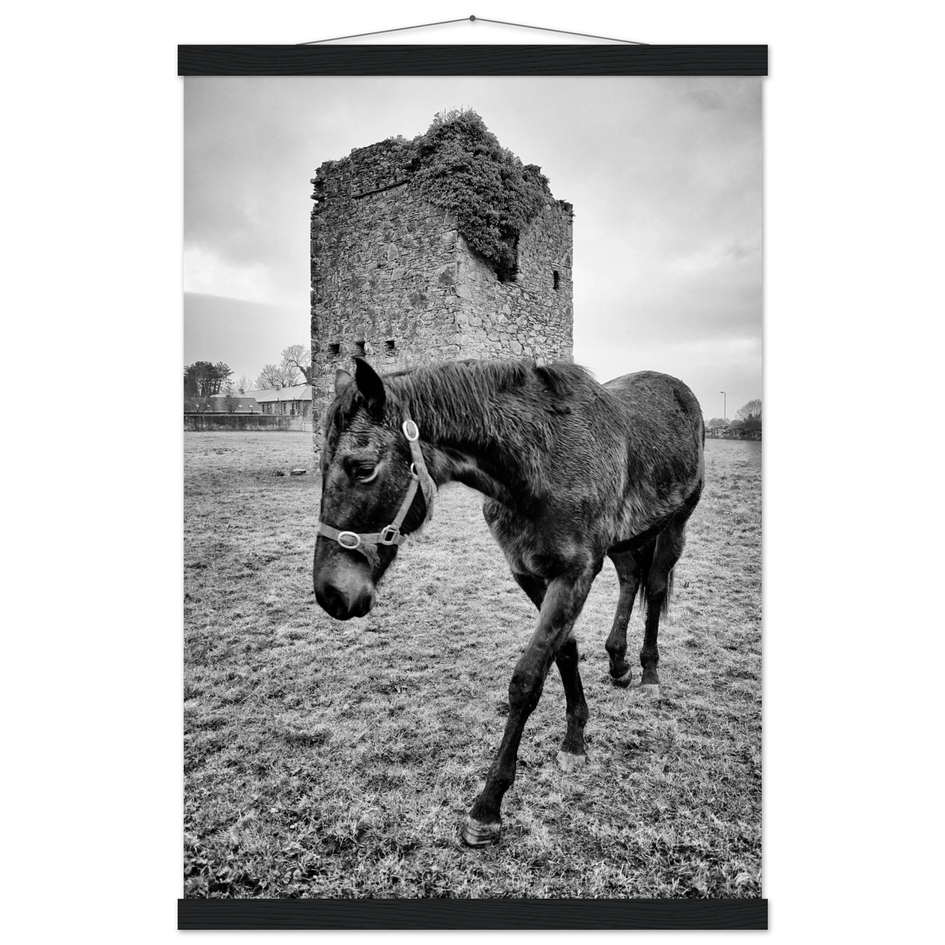 bcb36b44-95fa-4f85-9f7d-9a556eba678e