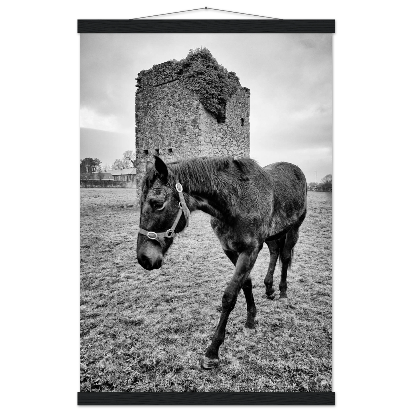 bcb36b44-95fa-4f85-9f7d-9a556eba678e