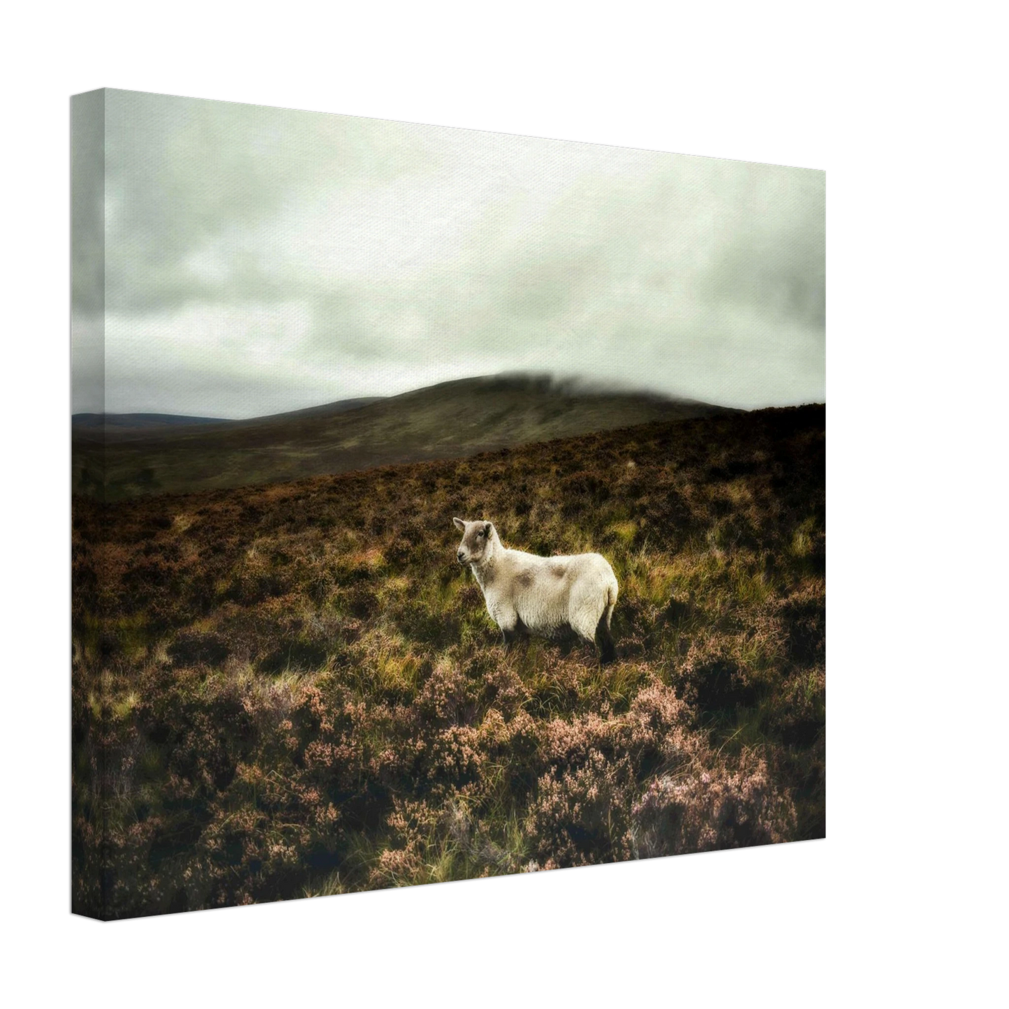 bcbf5924-4b28-47d9-a626-7baaf1eb82f7