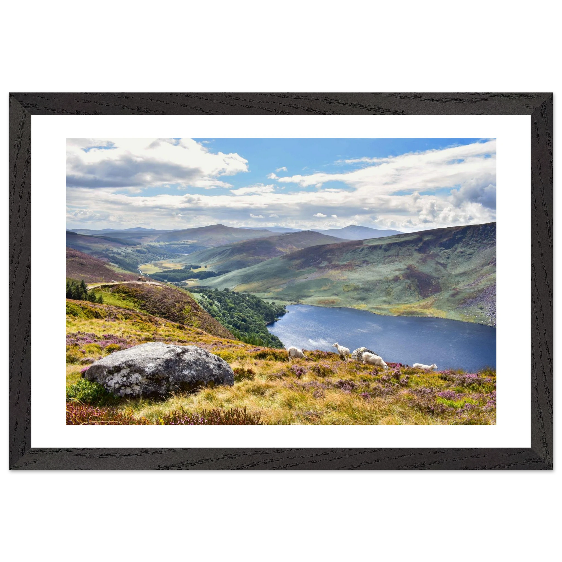 bce2d261-e6a0-49e4-97b8-c02ba010001e