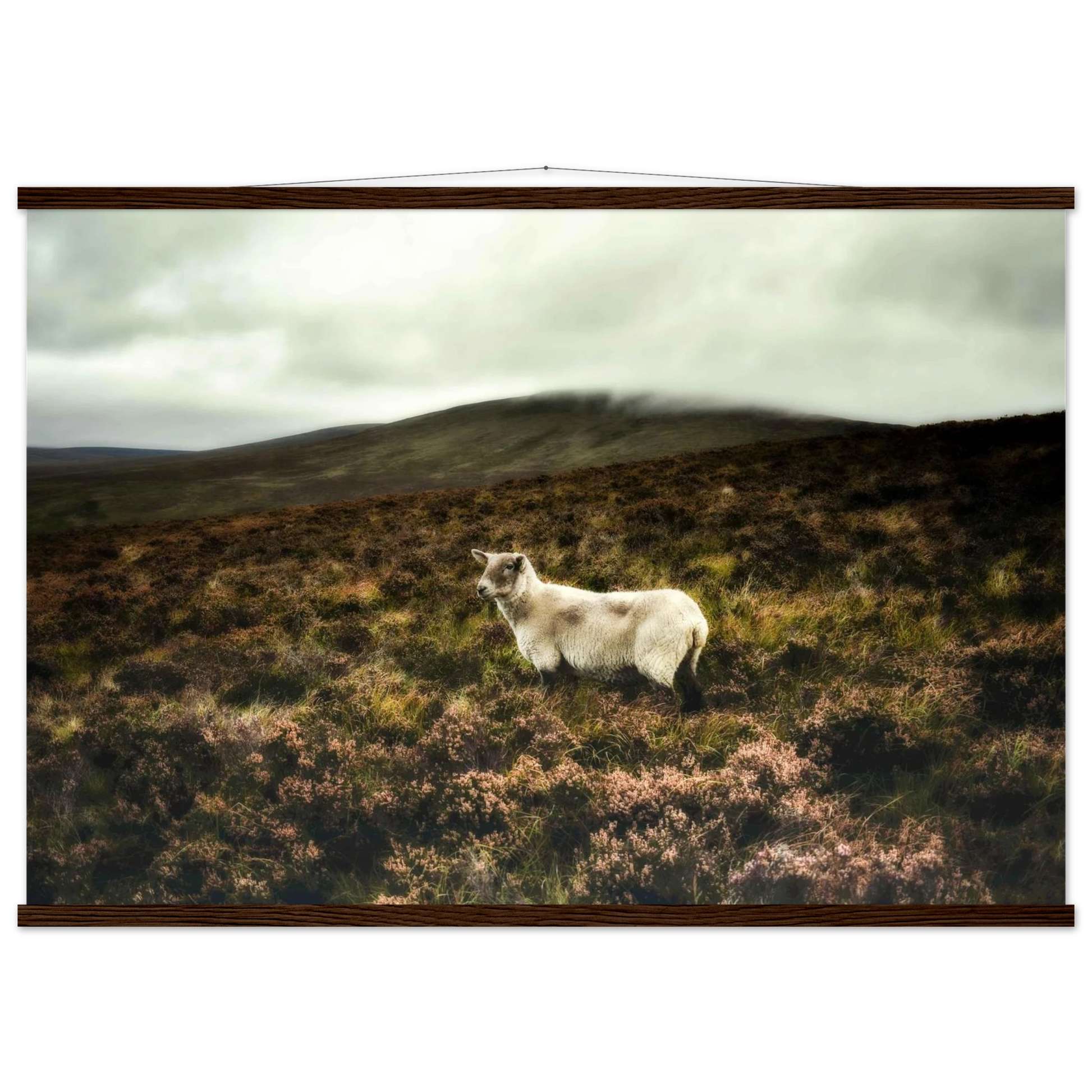 bdb6c1af-b5cd-496b-9b05-224b974cb16d