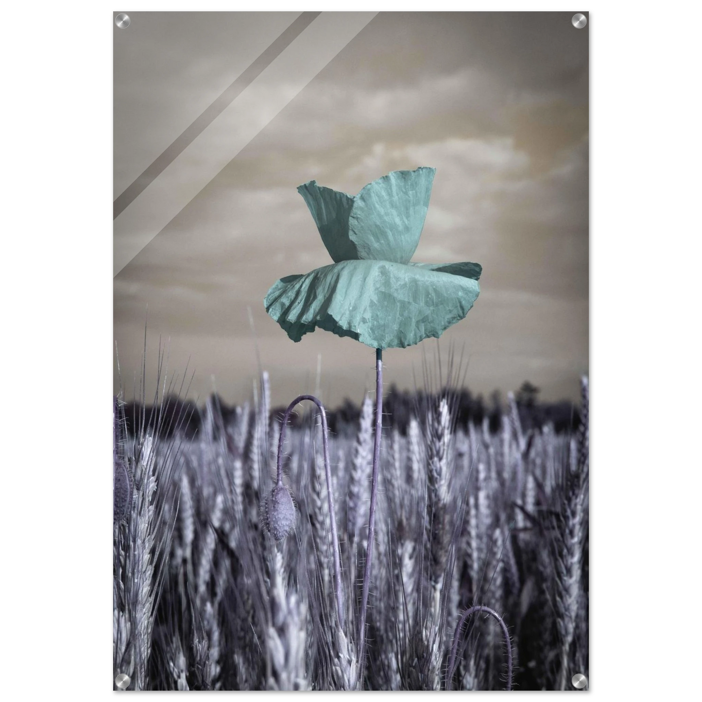 be03e145-f385-425c-8f8a-f5f14674b13e