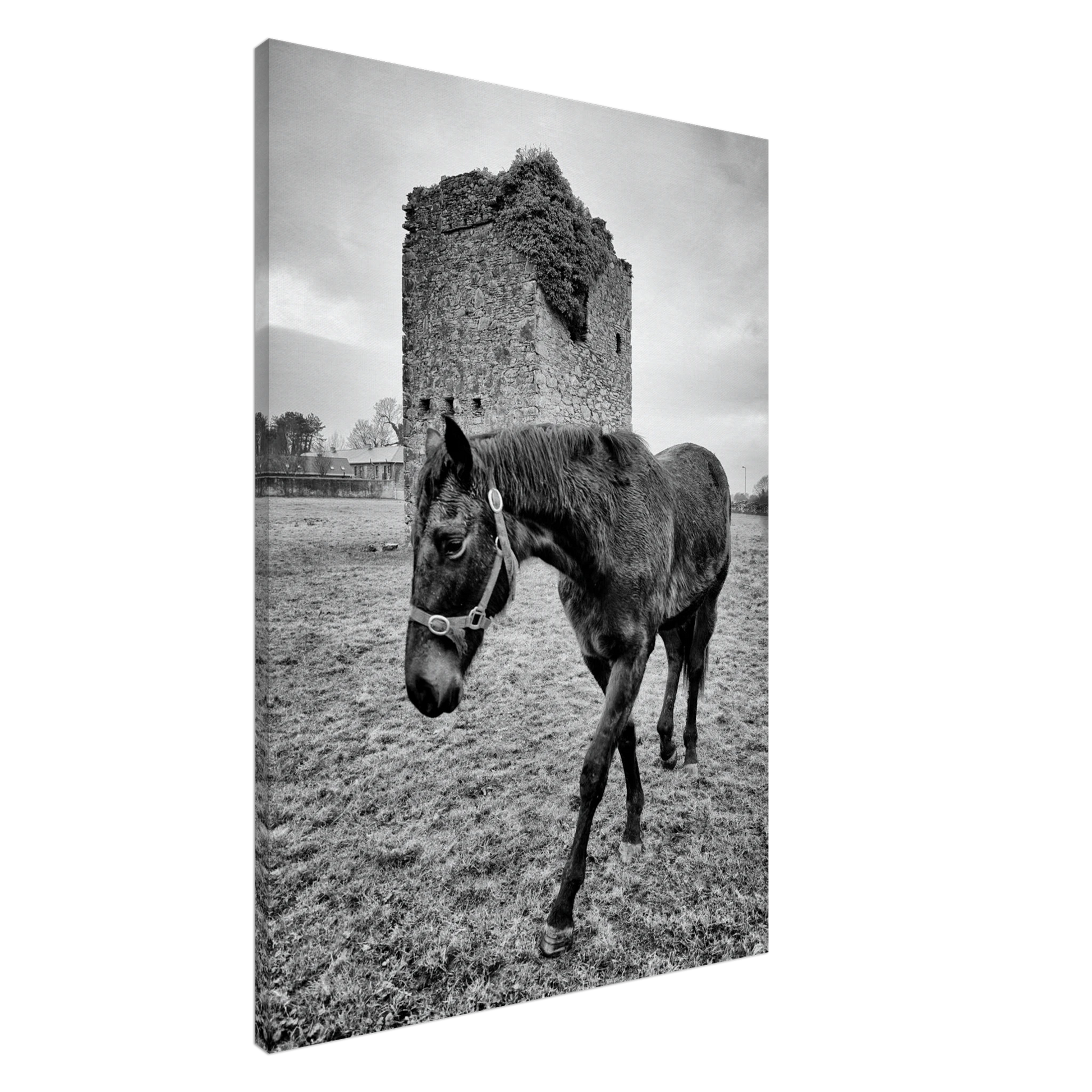 be0627a7-c1a9-4d80-8248-4bfb776a932c